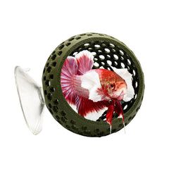 CTWPets escondite bulbo natural para betta, refugio cómodo para descanso.