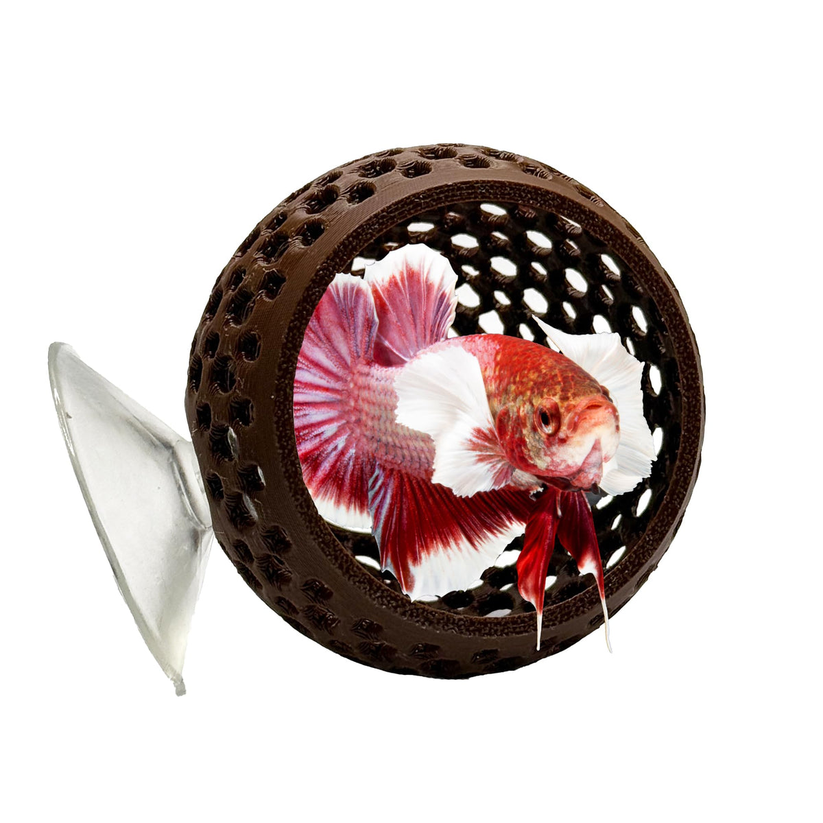 CTWPets refugio bulbo natural para betta, cómodo y seguro para descansar.