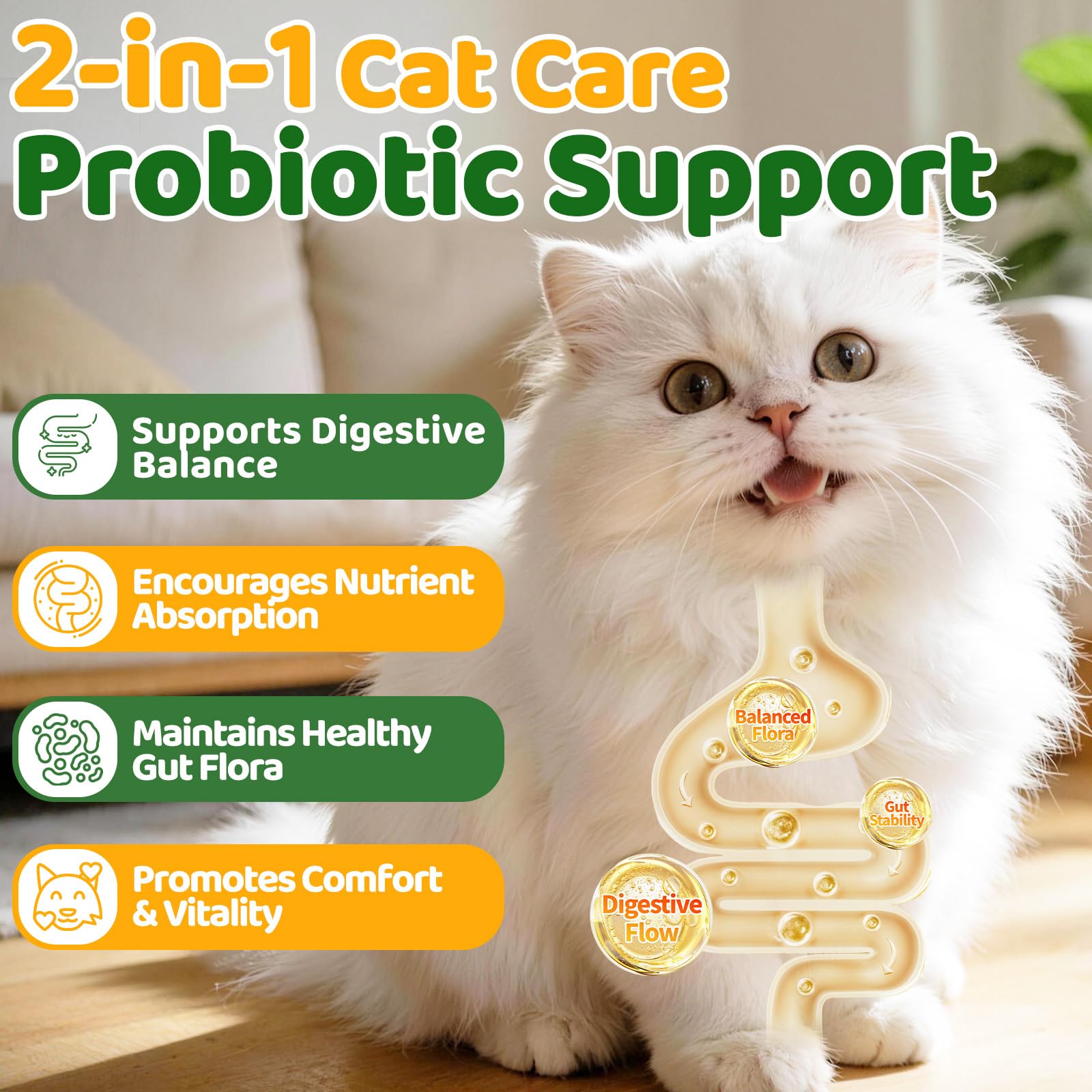 Cudory probióticos para gatos que apoyan la digestión equilibrada.
