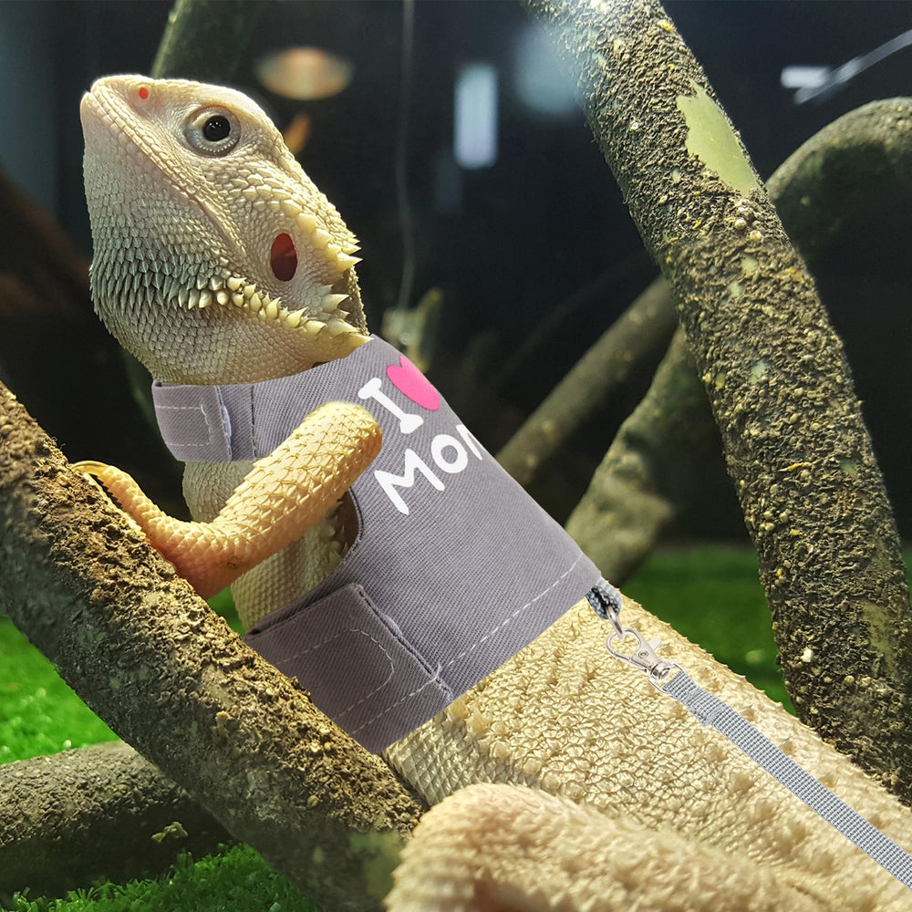 Cierre de velcro seguro en arnés para dragón barbudo