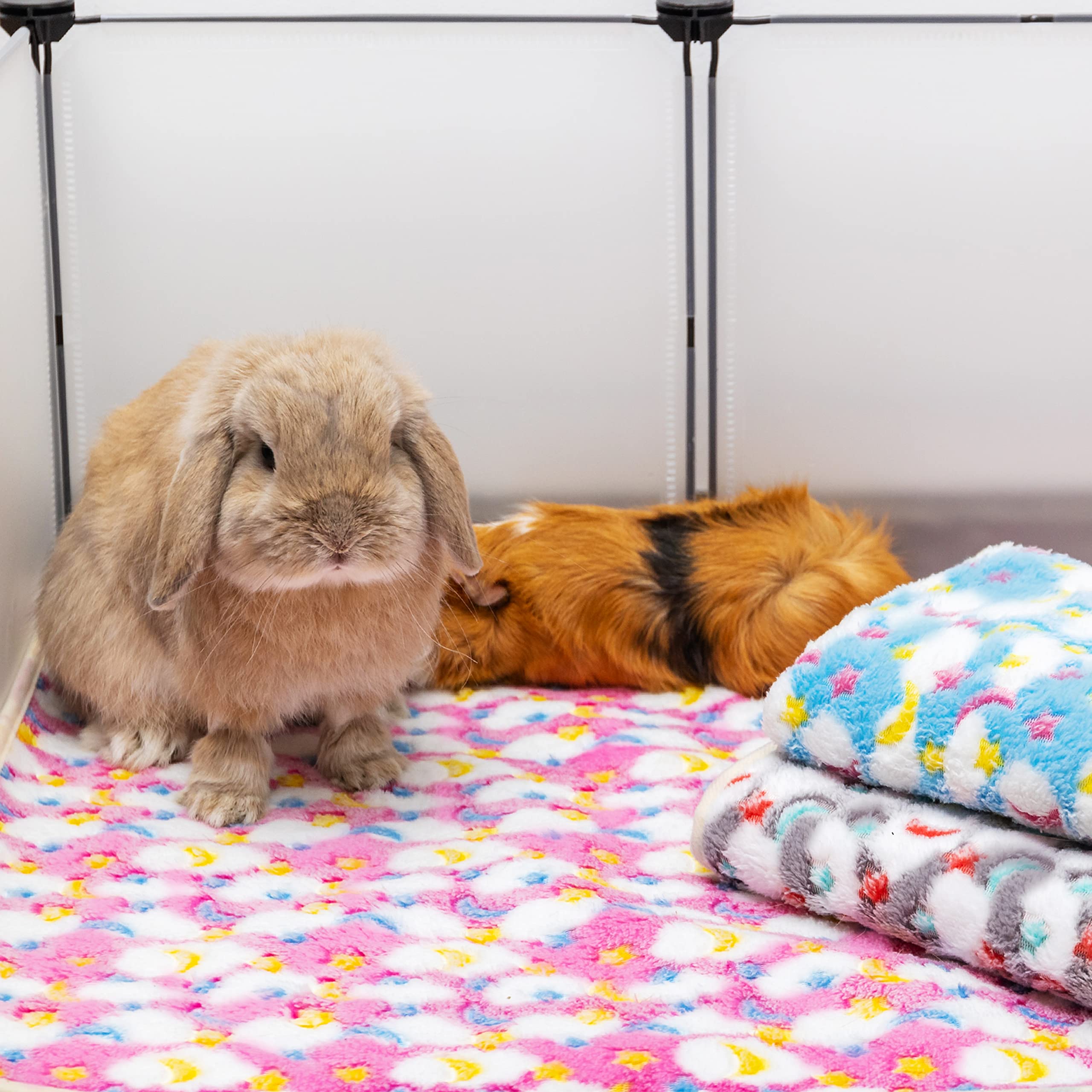 CUSOZWO opciones de talla pequeño y medio para mascotas pequeñas.