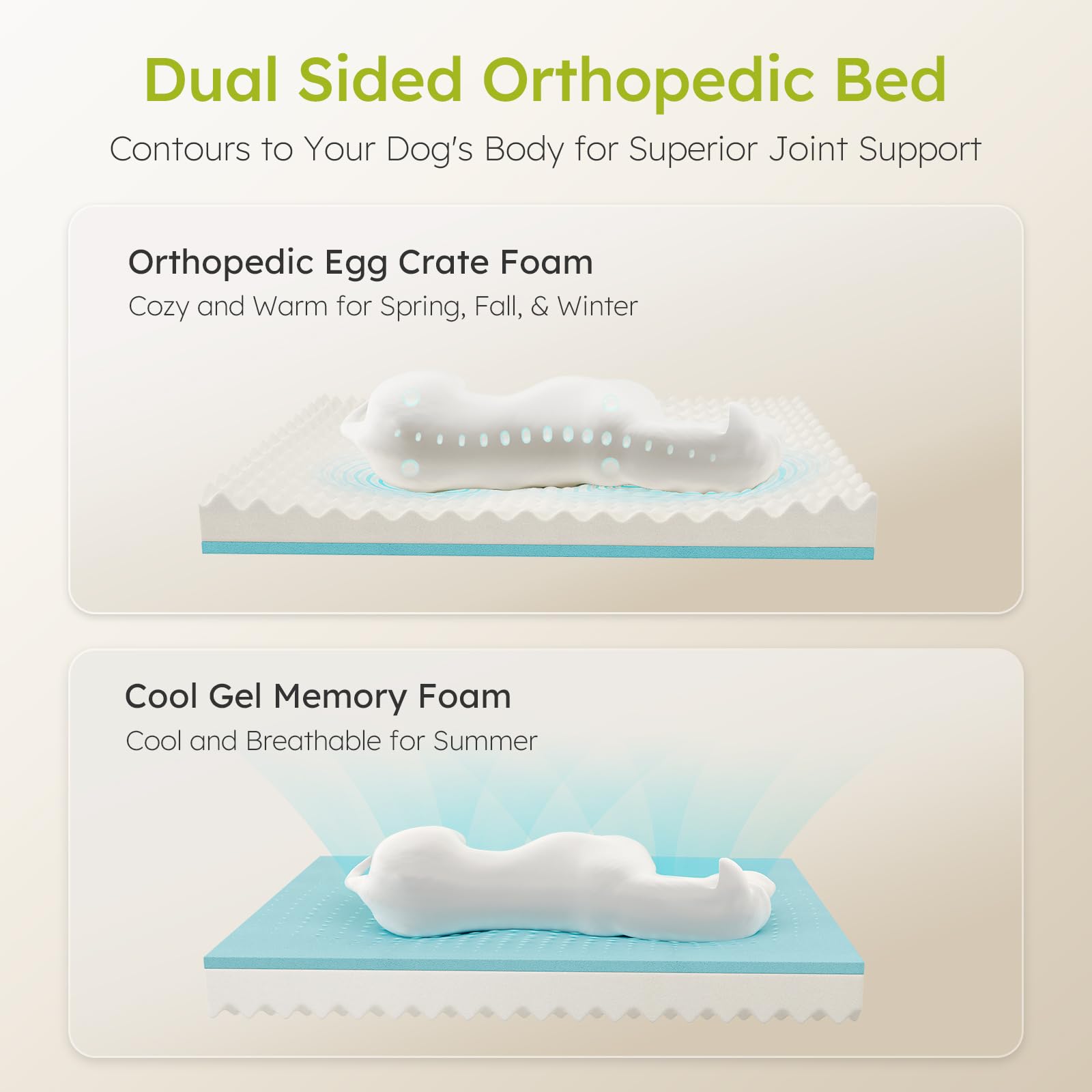 Cama CWAWZ XL en terciopelo holandés tacto suave para tranquilidad