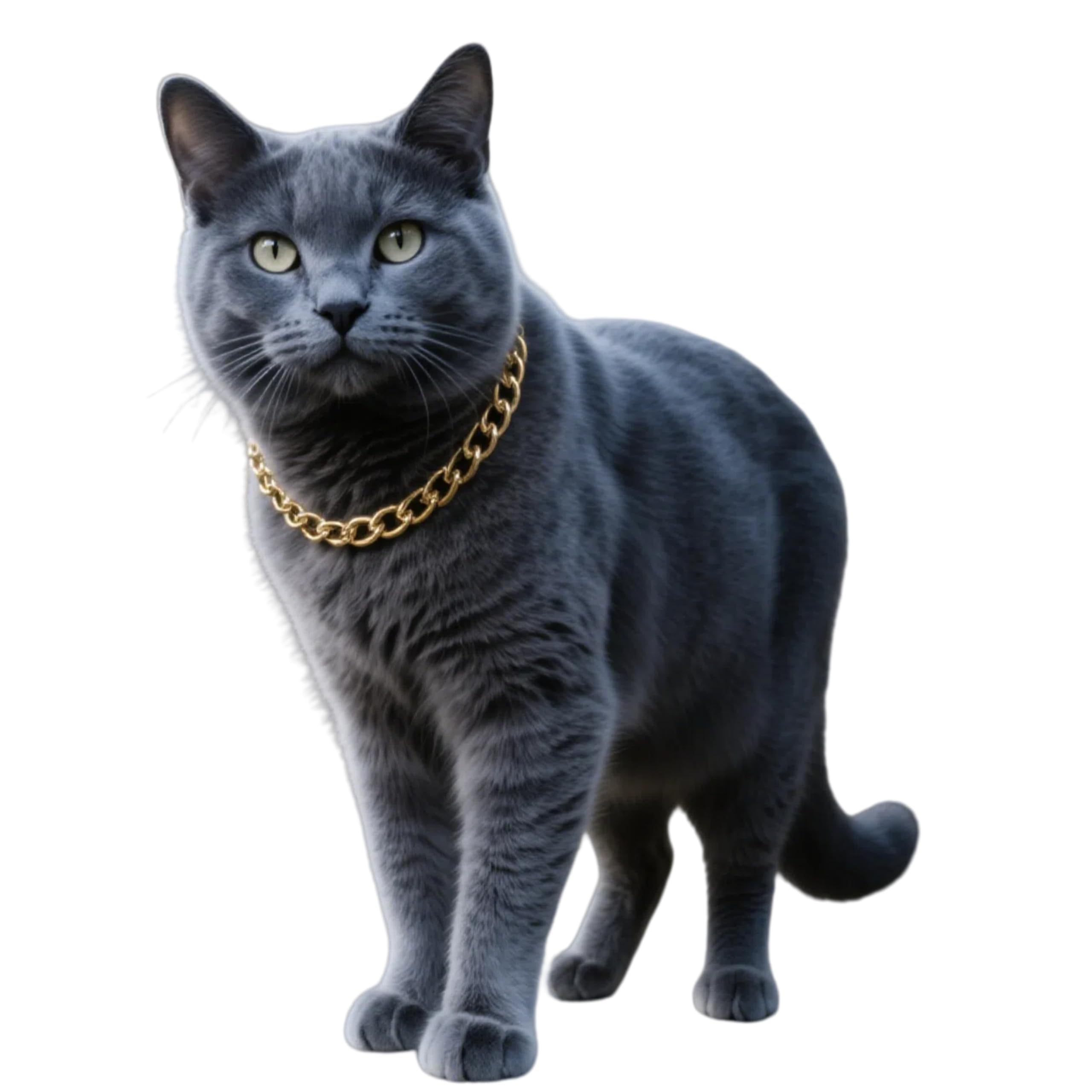 CWYZA Collar de Gato con Cadena Dorada, diseño cubano dorado para fotos y ocasiones especiales