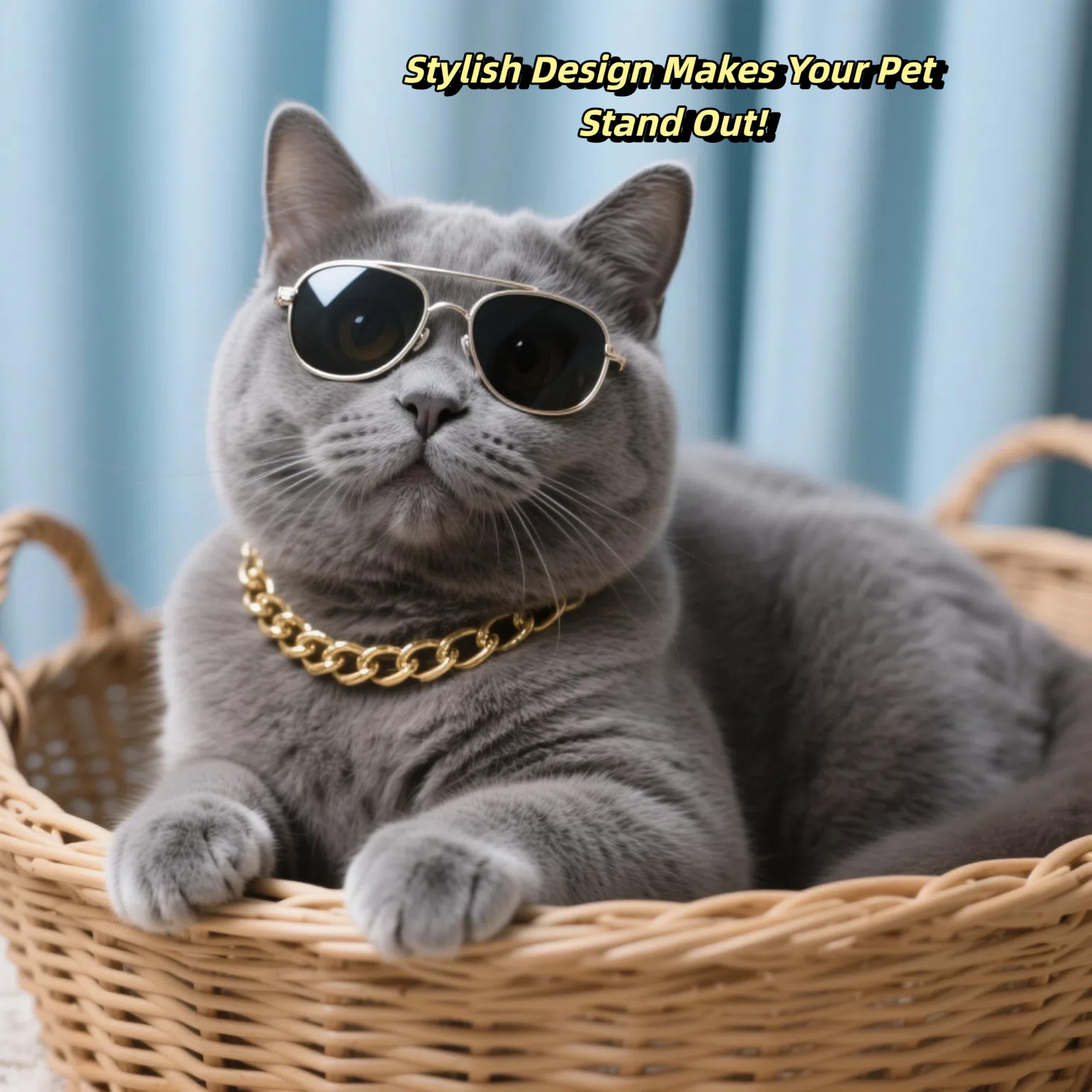 Regalo ideal CWYZA para amantes de gatos con estilo