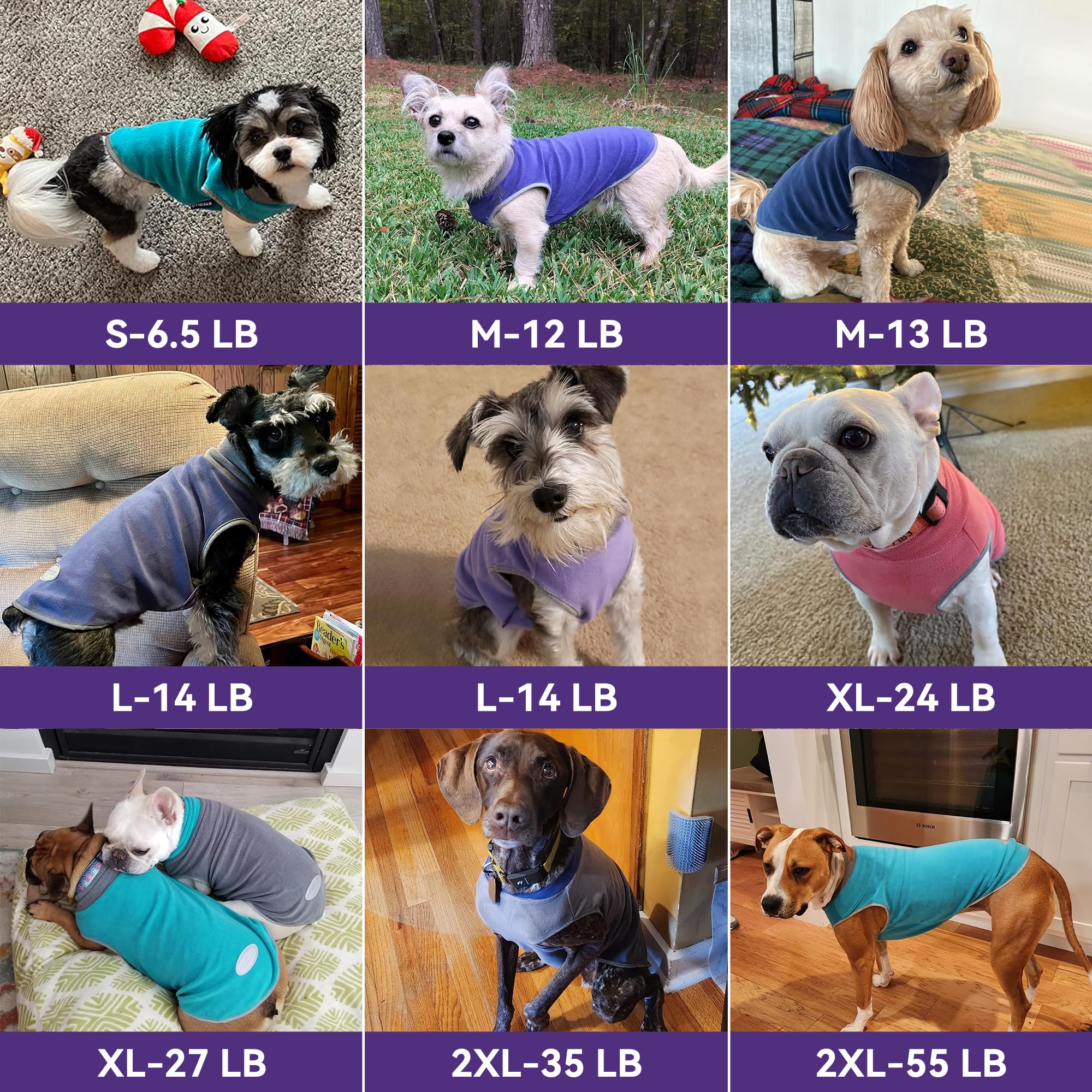 Disponible en seis tallas para perros pequeños y grandes.