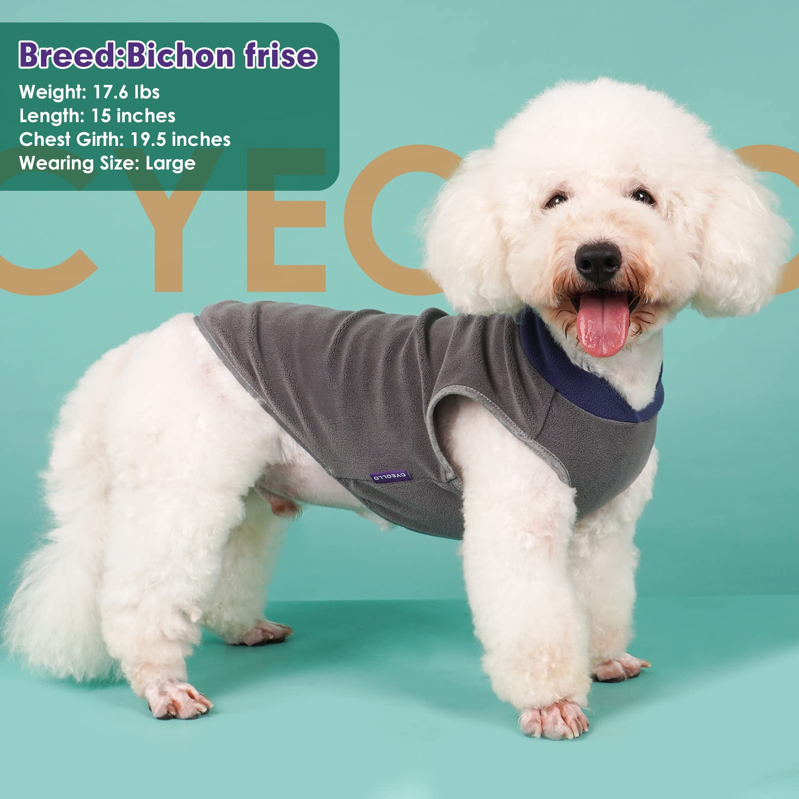 Uso interior y exterior del suéter para perros cyeollo en climas fríos moderados.