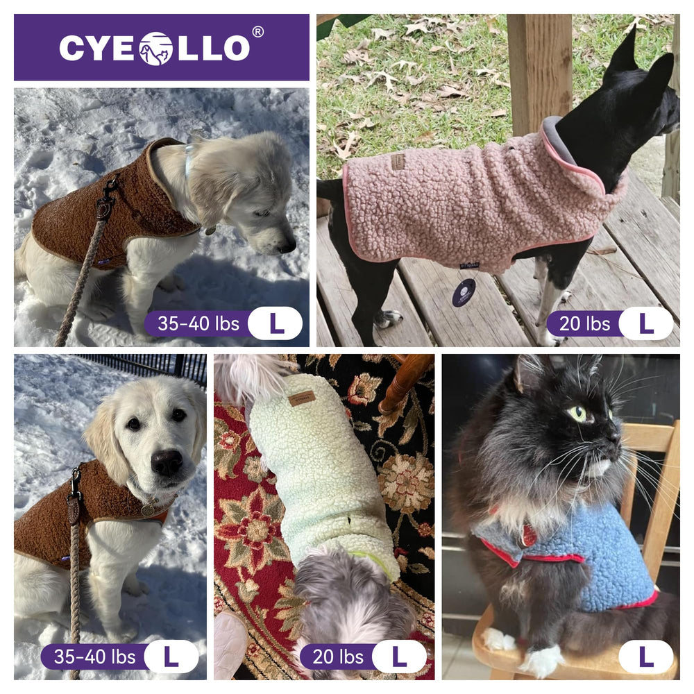 cyeollo tallas variadas para perros de razas pequeñas y grandes.