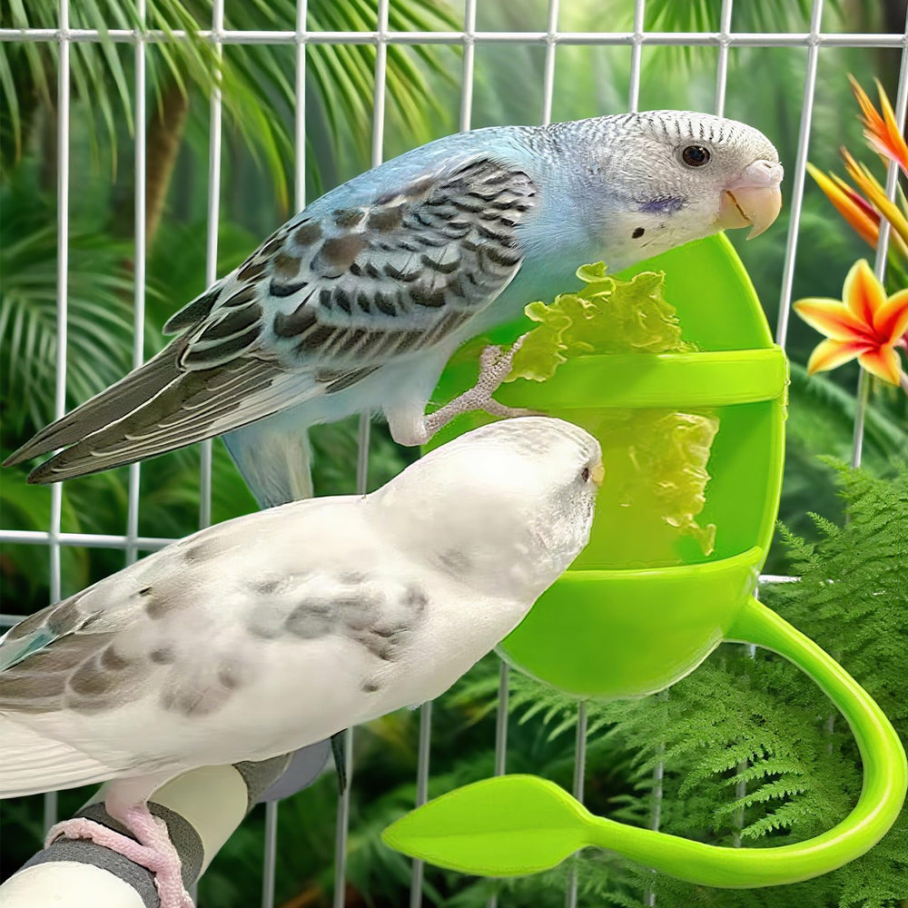 CZMZHFC idea de regalo para amantes de aves.