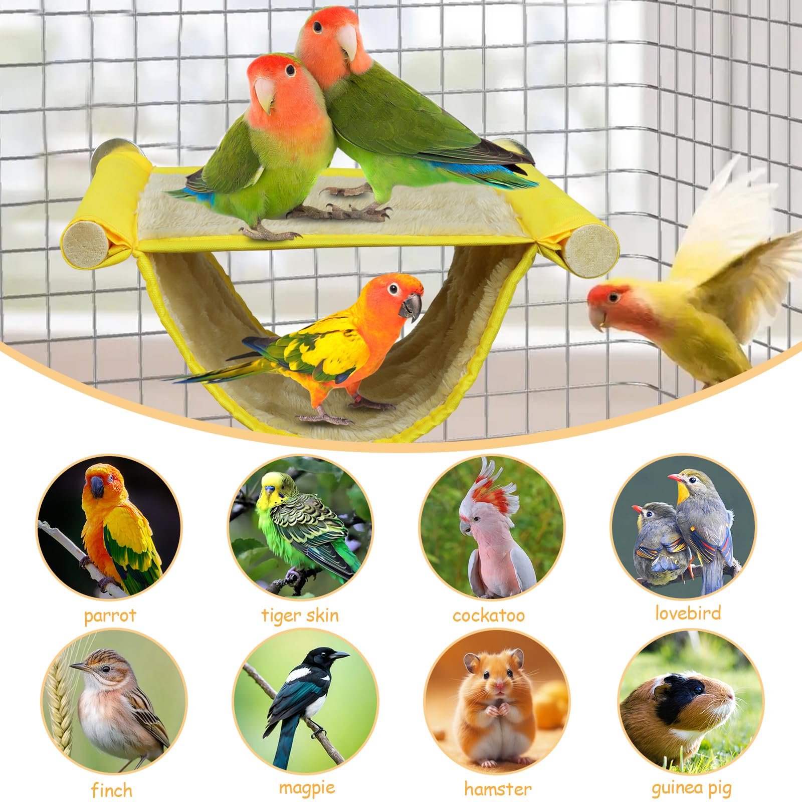 Nido multiespecie CZWESTC para canarios, agapornis y más