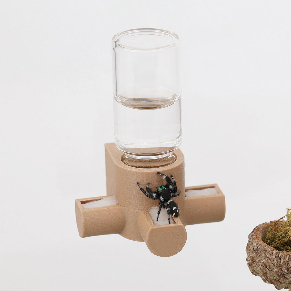 Daerky dispensador de agua-gravedad para saltarinas: riego suave y constante.