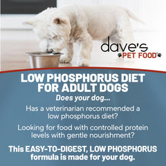 Caja de 12 latas de Dave's Pet Food renal para conveniencia.