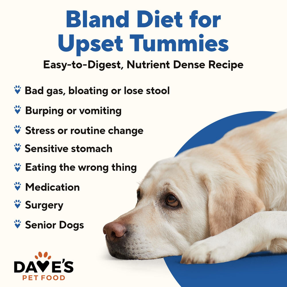Dave's Pet Food – estuche de 12 latas de pollo y arroz, opción económica para digestión suave.