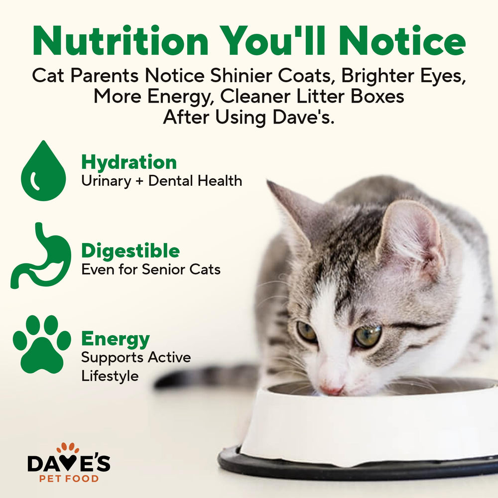 Dave's Pet Food hecho en EE. UU., calidad doméstica para la dieta felina.