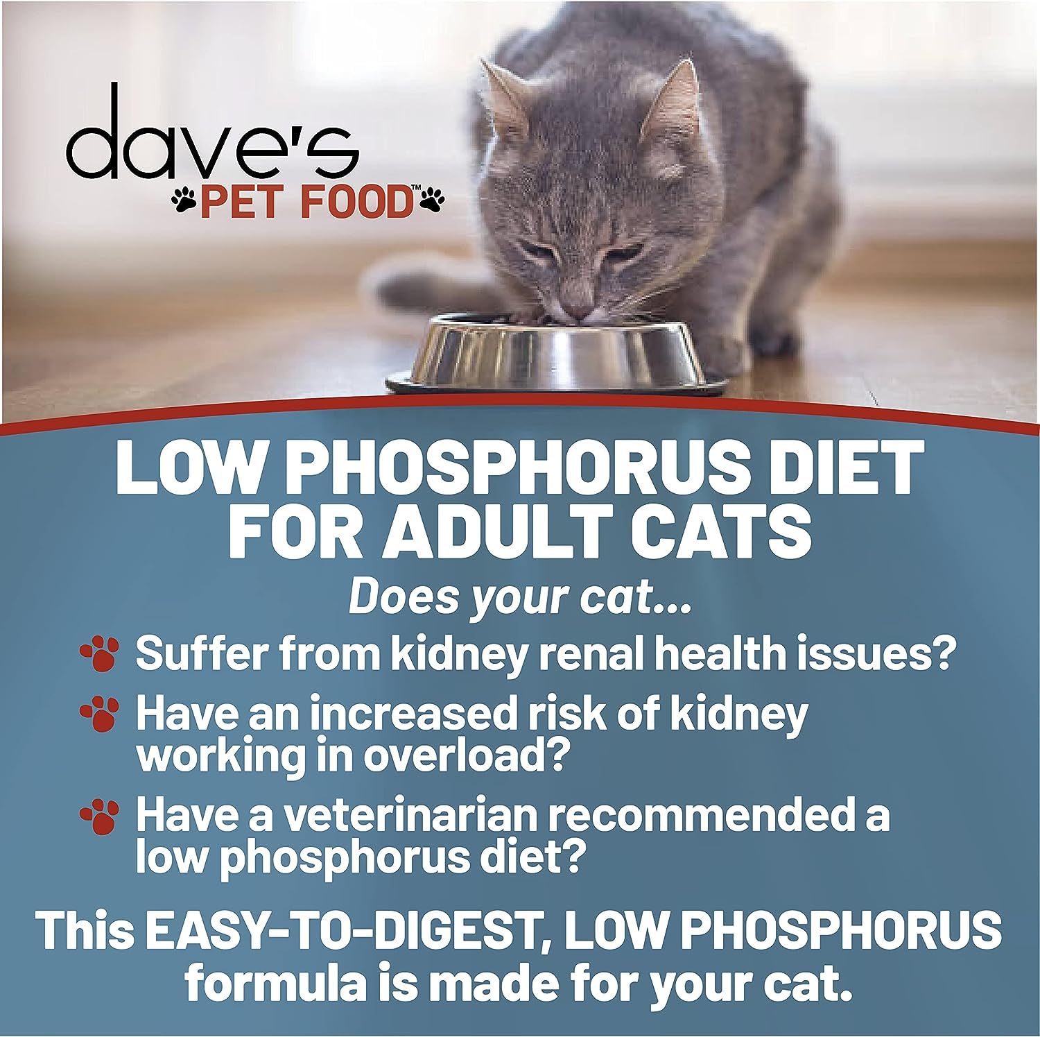 Dave's Pet Food Kidney Support: pate de pollo-hígado, textura suave para paladares sensibles.