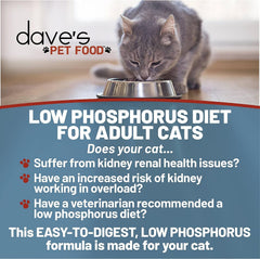 Dave's Pet Food Kidney Support: pate de pollo-hígado, textura suave para paladares sensibles.
