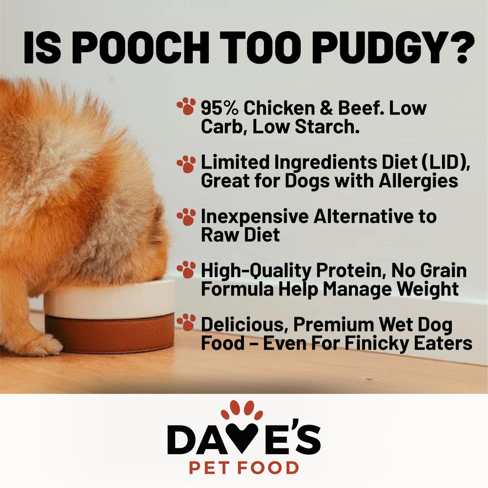 Dave's Pet Food lata de 12.5 oz, presentación práctica para la alimentación diaria