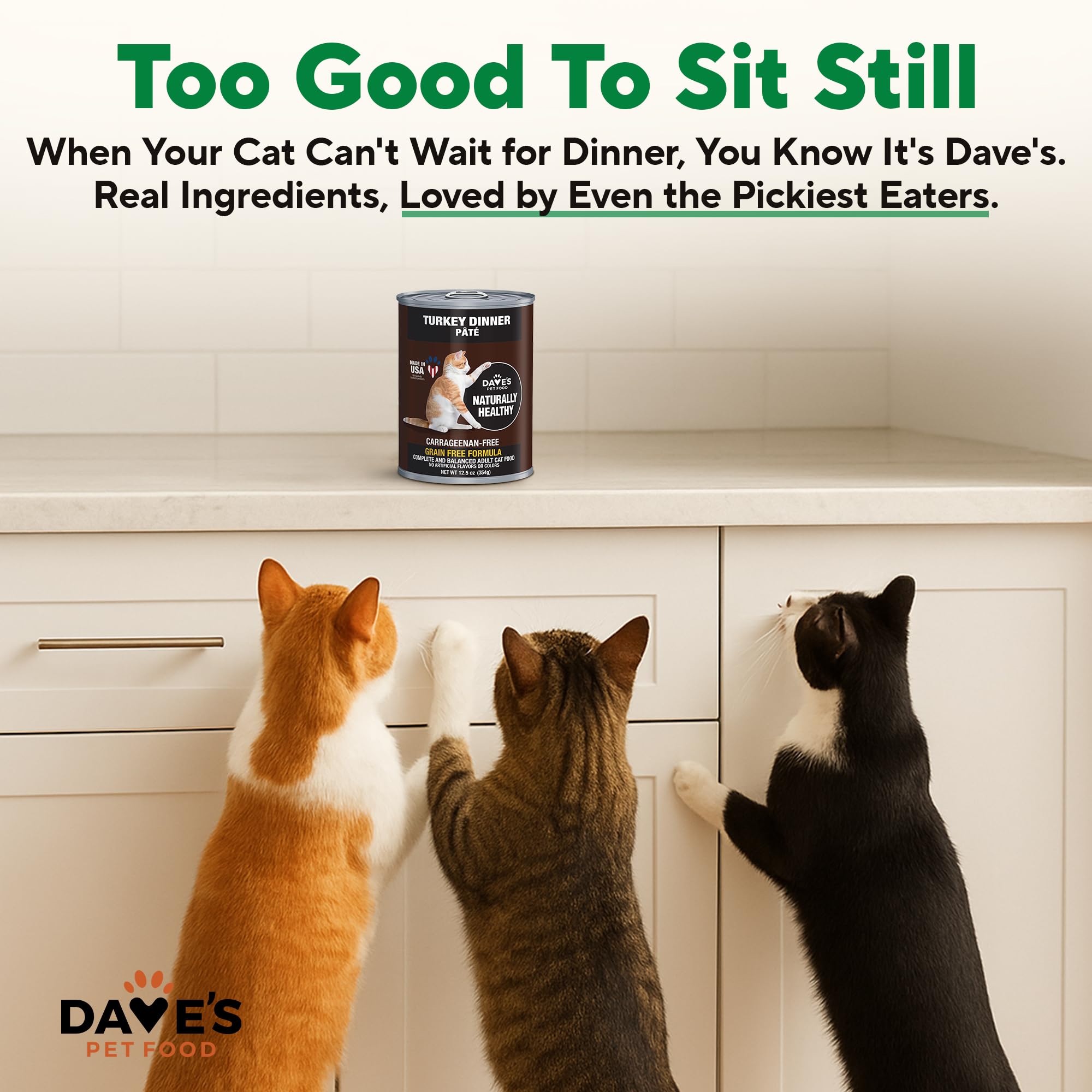 Dave's Pet Food lata abierta con pavo, muestra textura jugosa.