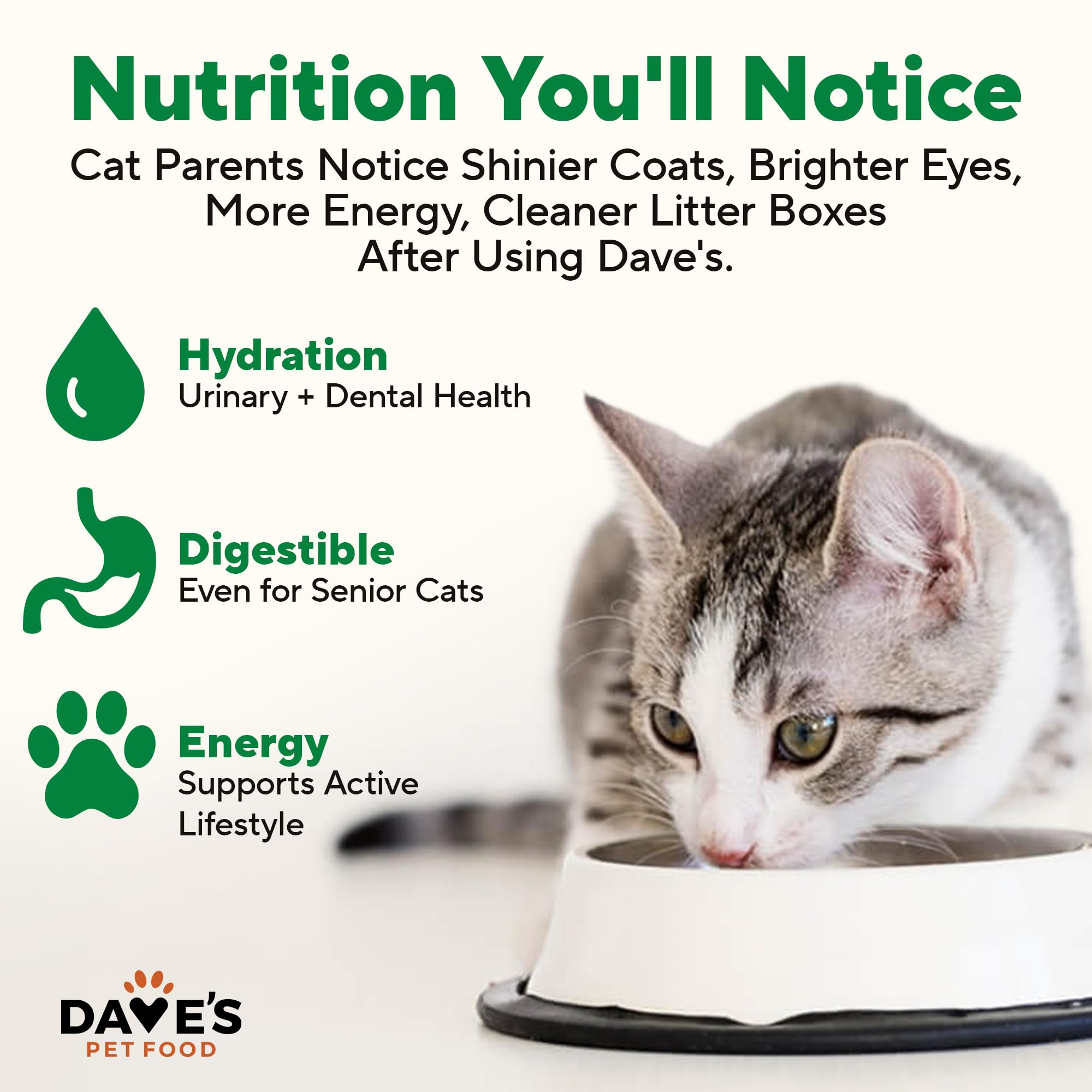 Dave's Pet Food enriquecido con vitaminas y minerales para apoyo nutricional diario.