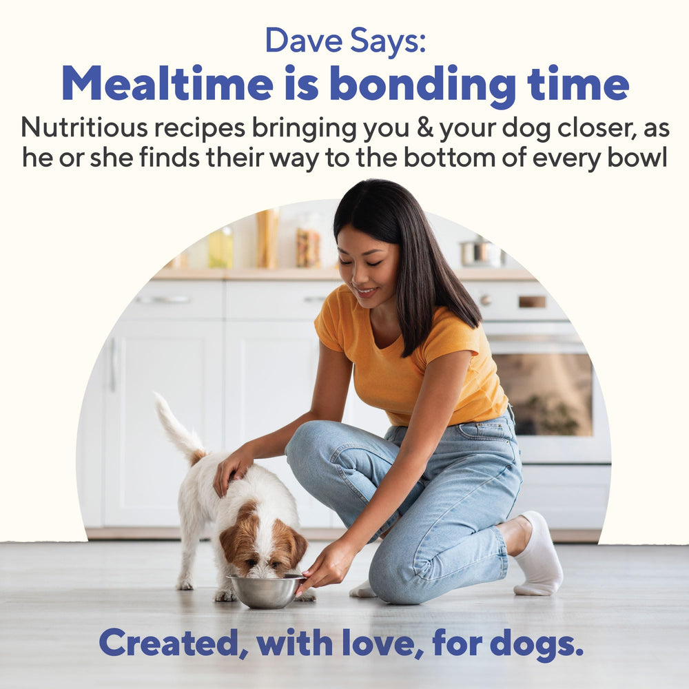 Dave's Pet Food porciones diarias para una alimentación equilibrada