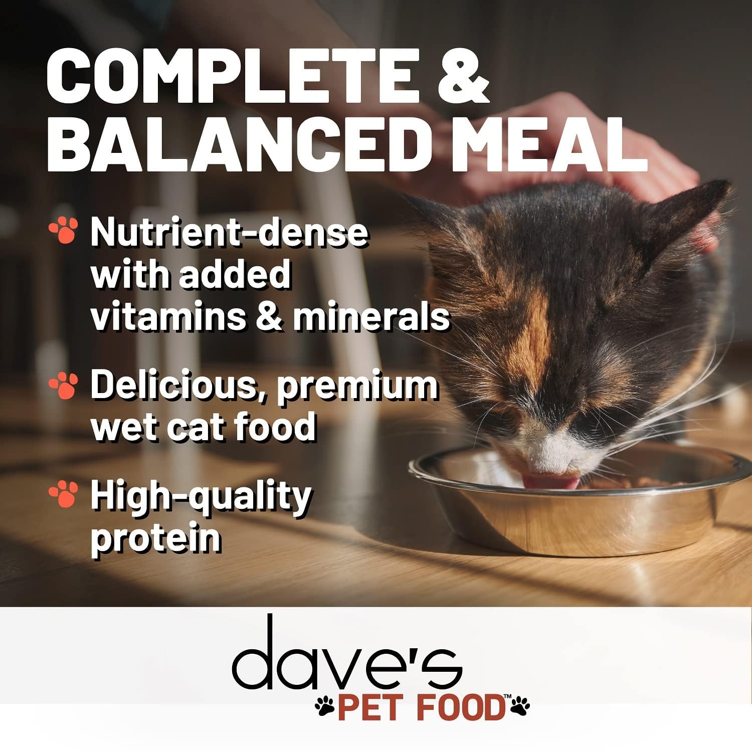 Dave's Pet Food: Presentación de 24 latas, opción conveniente para alimentar a tu gato.