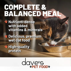 Dave's Pet Food: Presentación de 24 latas, opción conveniente para alimentar a tu gato.