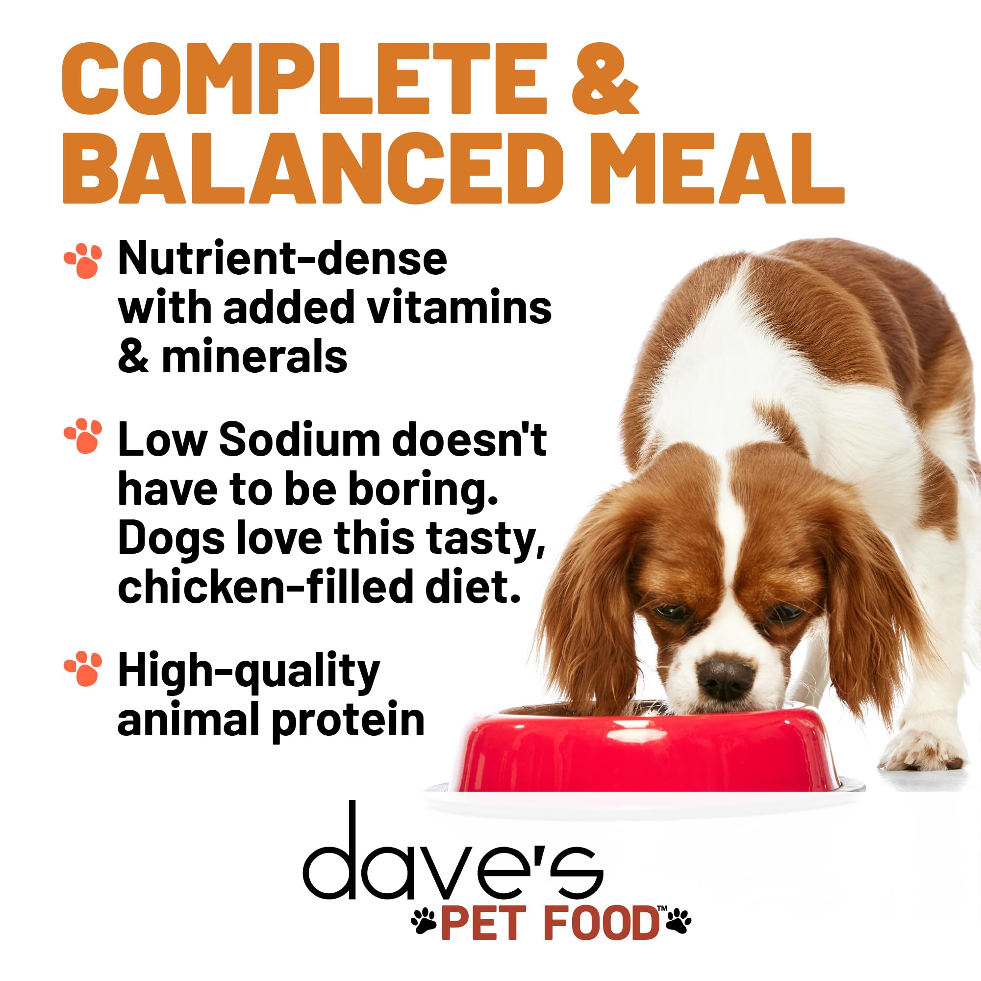 Dave's Pet Food: servir-en-tazon-perro, opción práctica para cada comida.