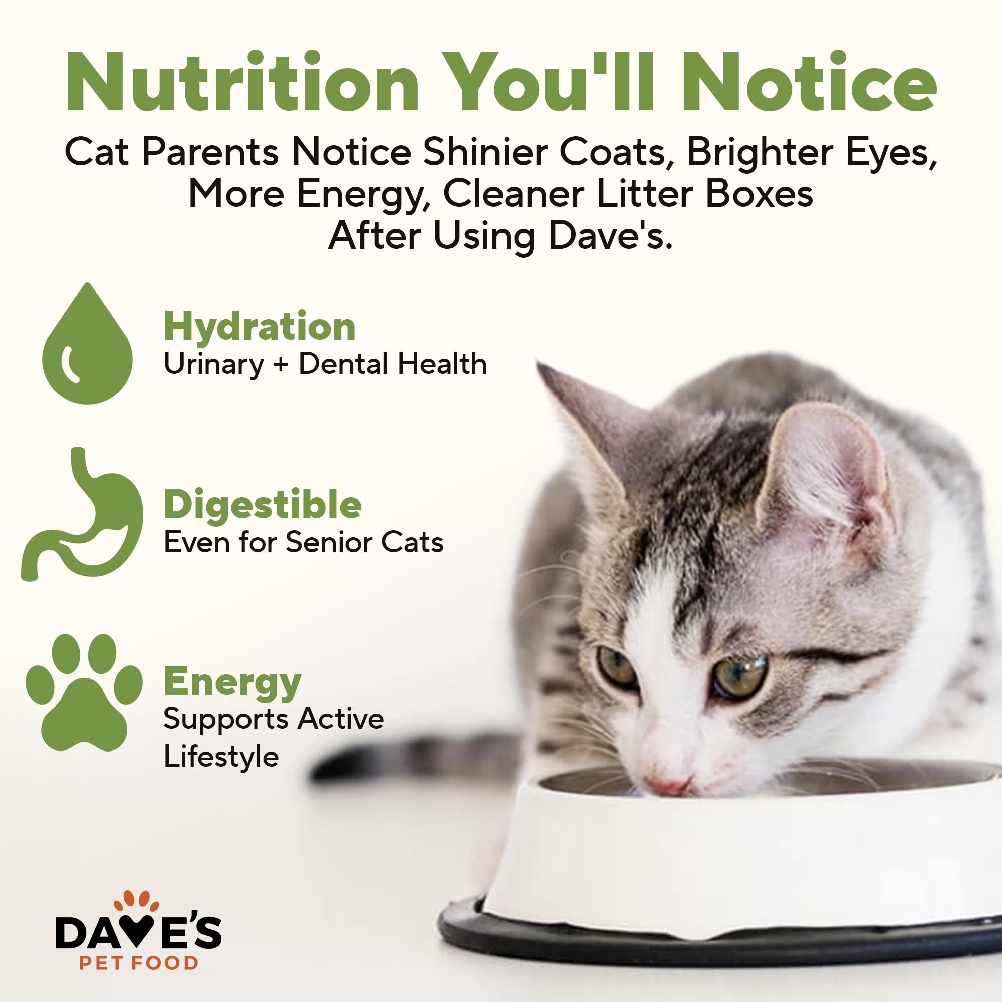 Dave's Pet Food: sin carragenina ni aditivos artificiales para una dieta simple.