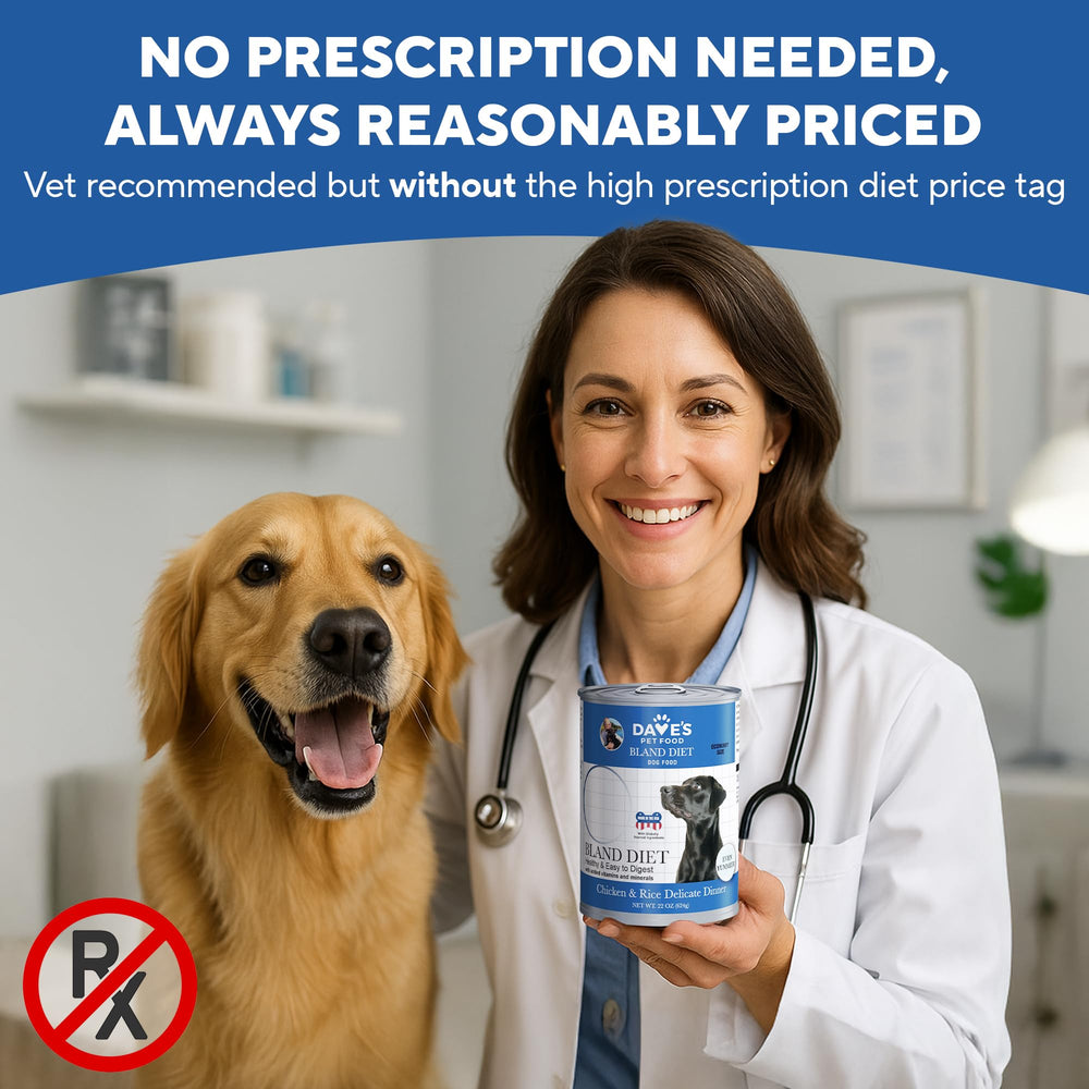 Dave's Pet Food – textura pâté suave, fácil de masticar para perros mayores o con sensibilidad dental.