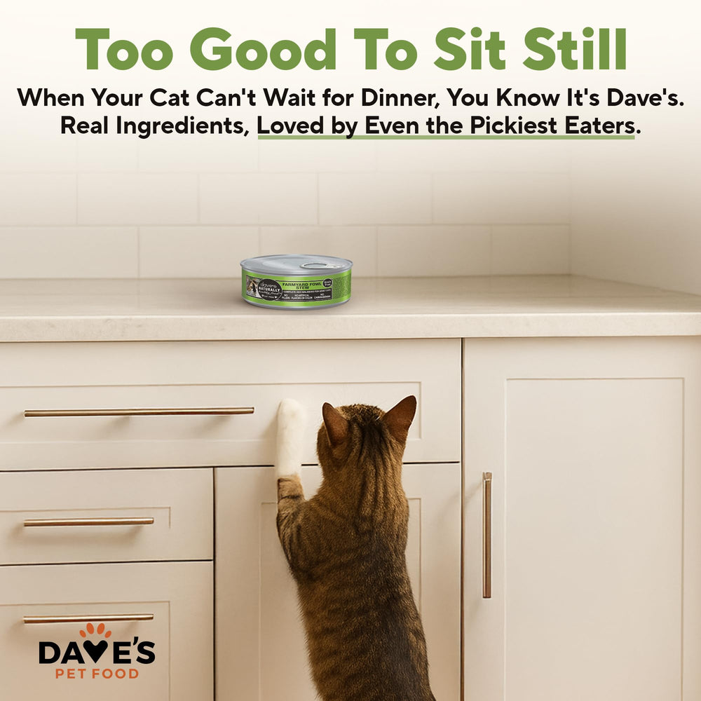 Dave's Pet Food: vitaminas y minerales añadidos para apoyo diario.
