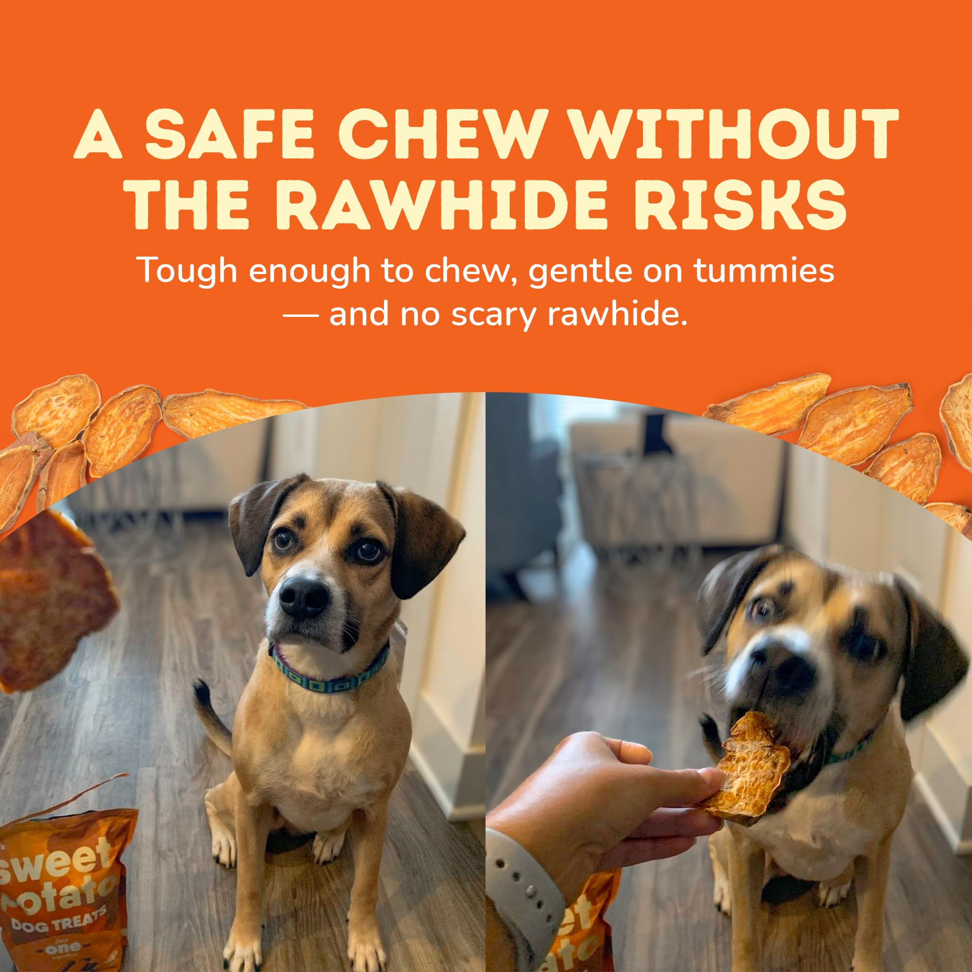 Chien savourant une friandise patate douce Davie's Naturals
