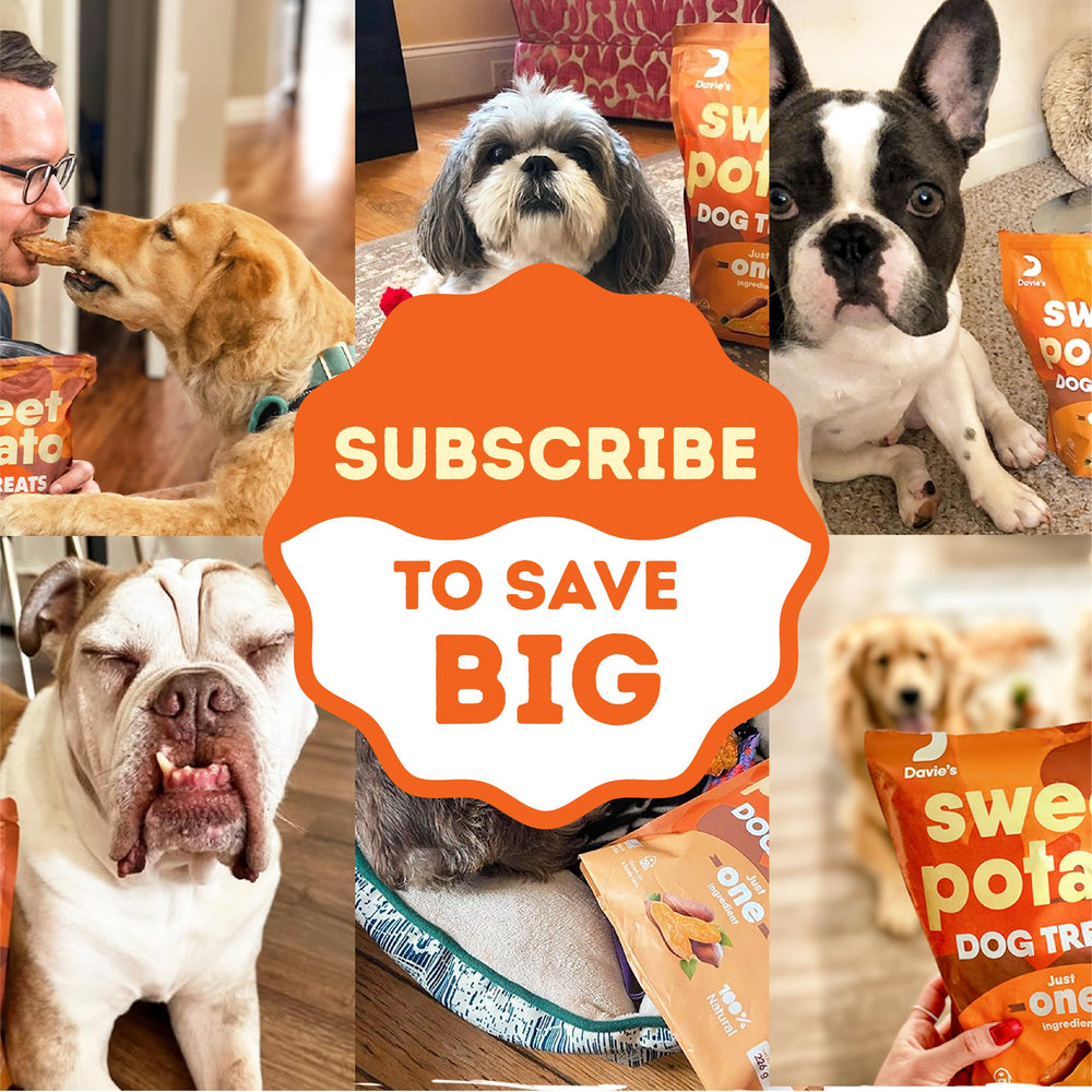 Davie's Naturals merienda diaria para perros, sin culpa y sabrosa
