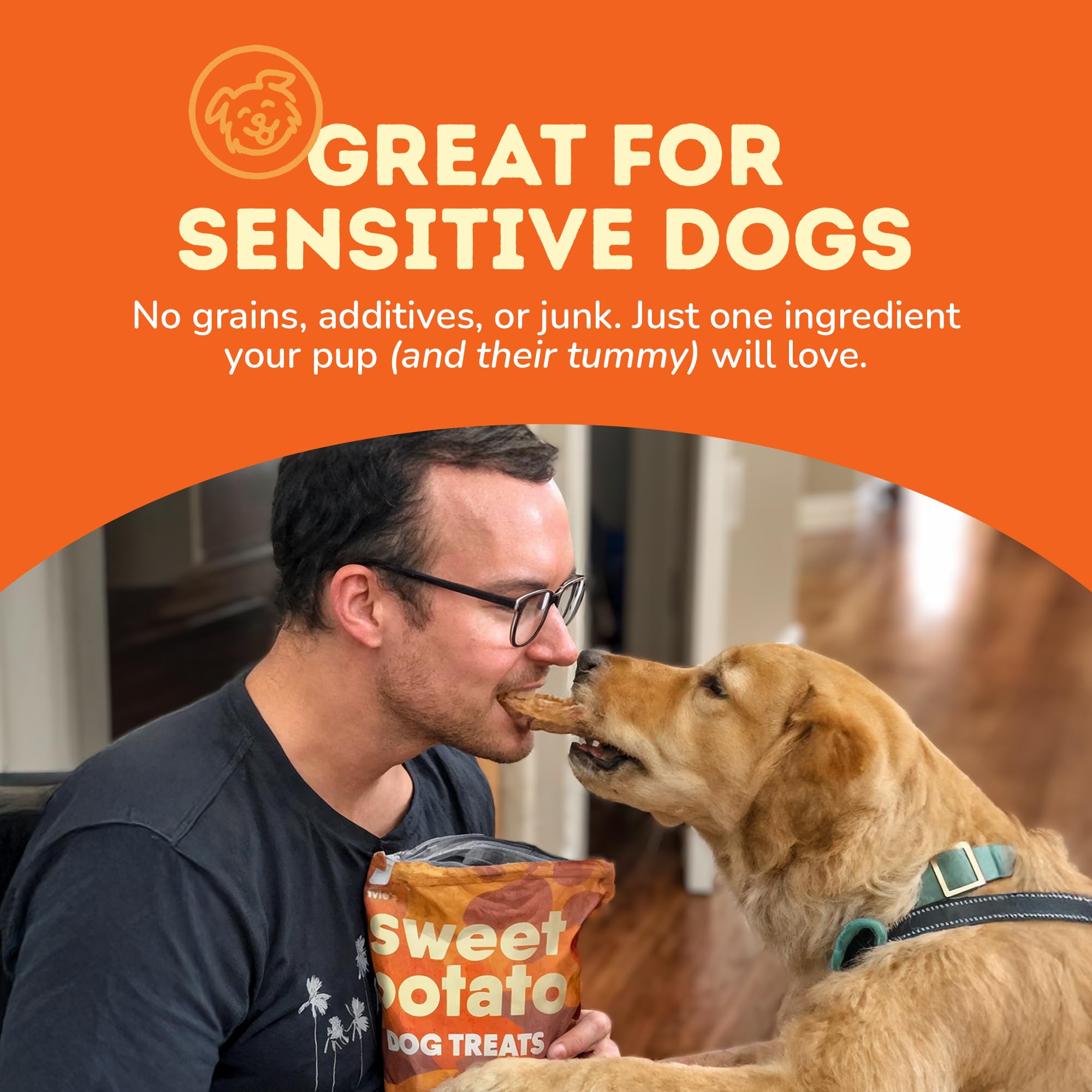 Sin granos ni conservantes, opción suave para perros sensibles.