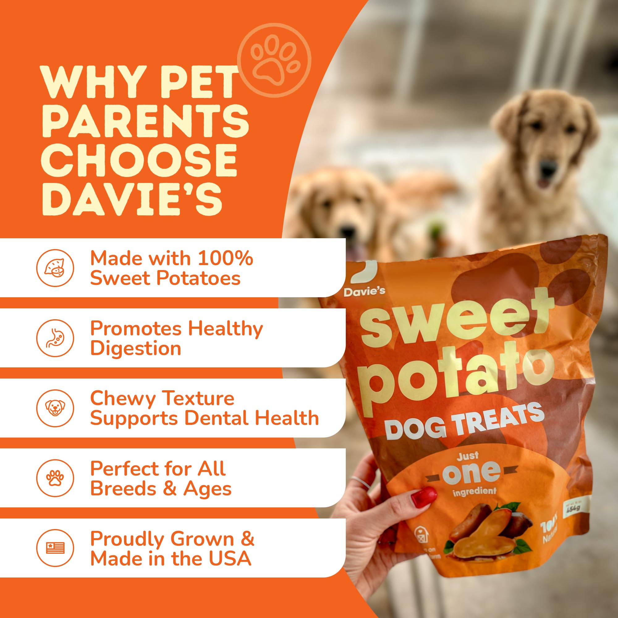 Snack saludable para perros de Davie's Naturals durante juego.
