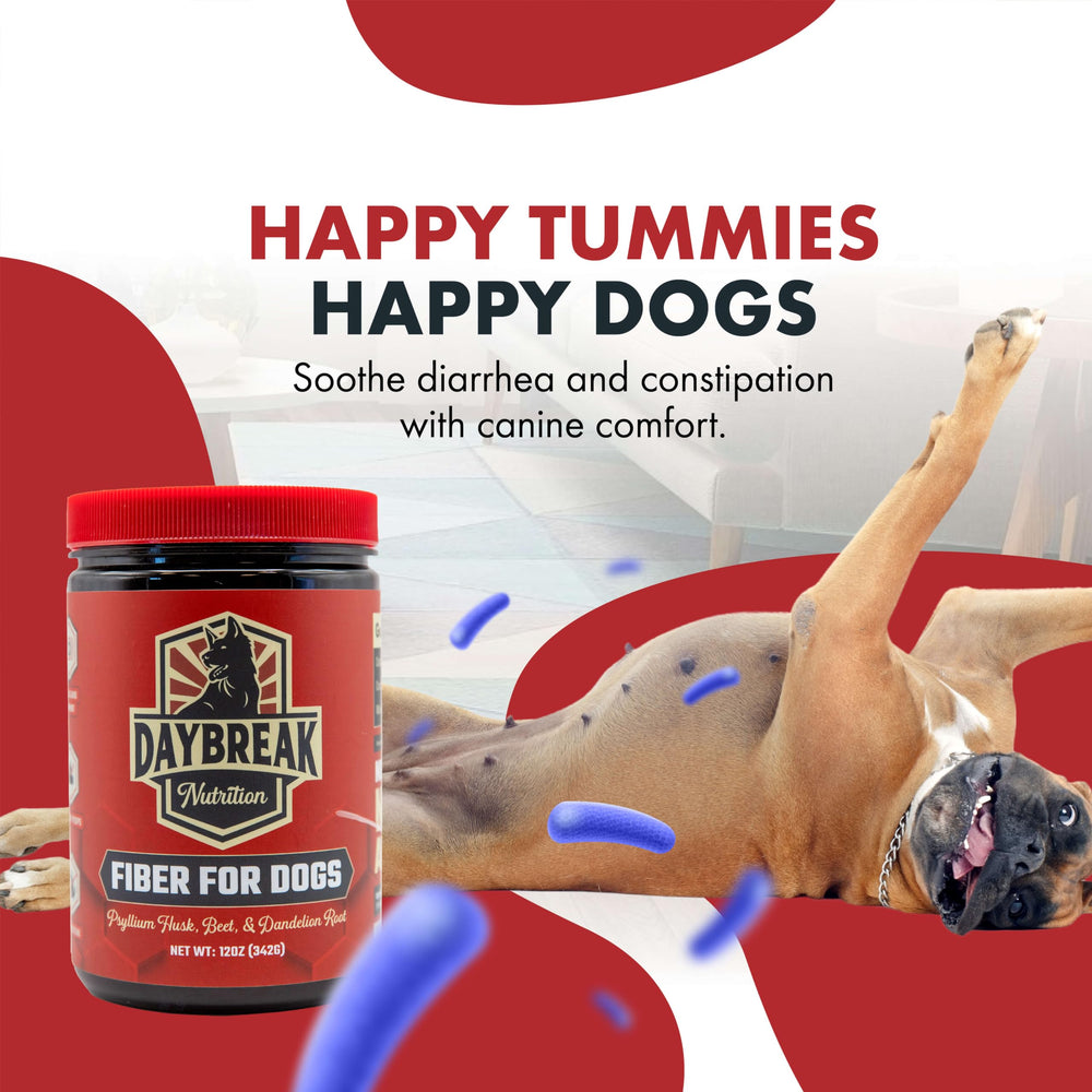 Daybreak Nutrition Fibra para Perros, raíz de diente de león para la salud digestiva