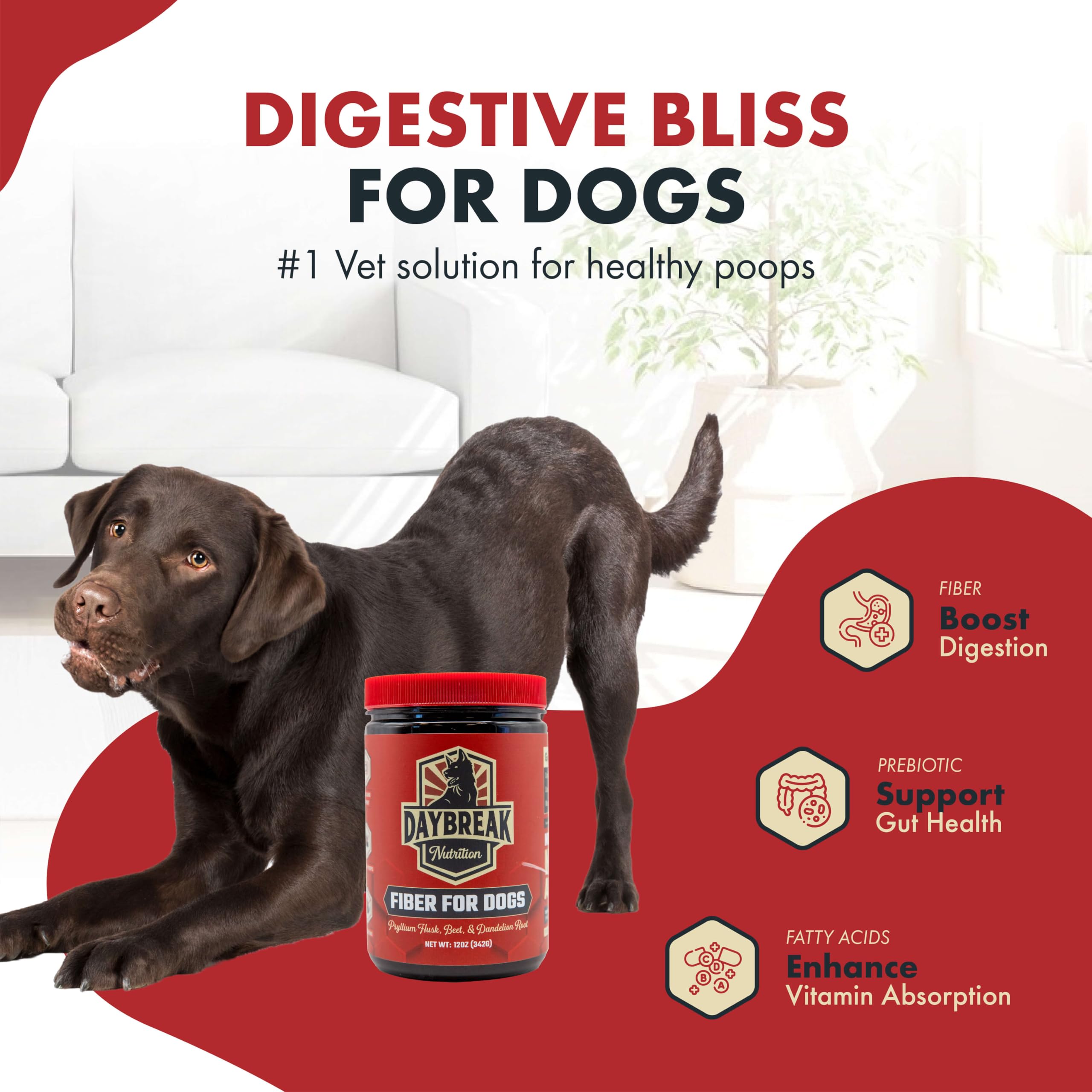Daybreak Nutrition Fibra para Perros, envase dosis, uso diario fácil