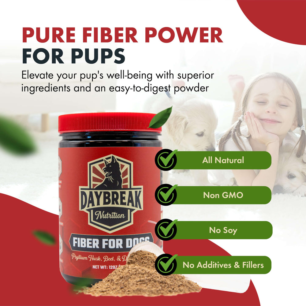 Daybreak Nutrition Fibra para Perros, prebióticos visibles para microbiota intestinal
