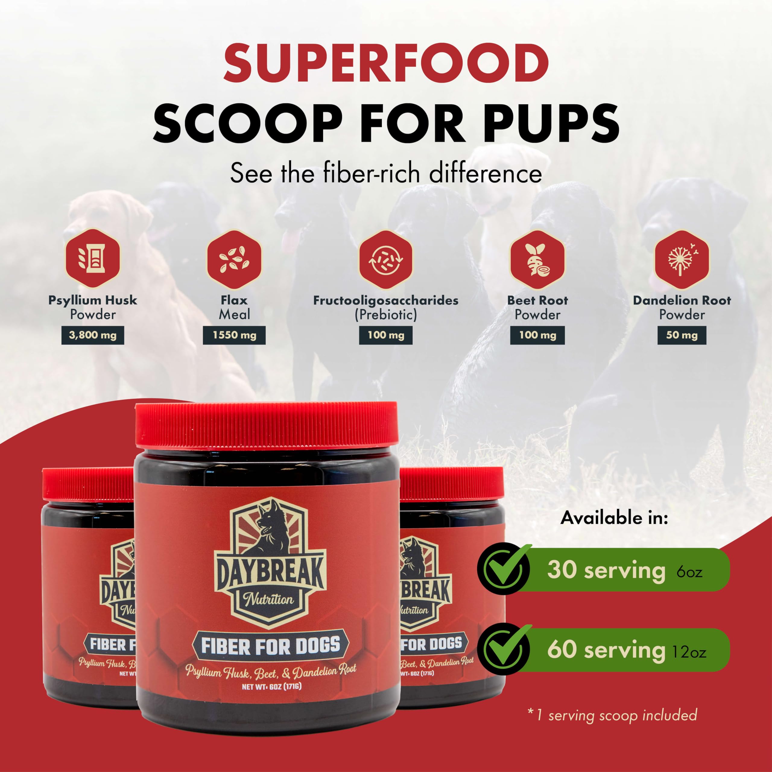 Daybreak Nutrition Fibra para Perros, remolacha en la imagen, apoyo digestivo natural