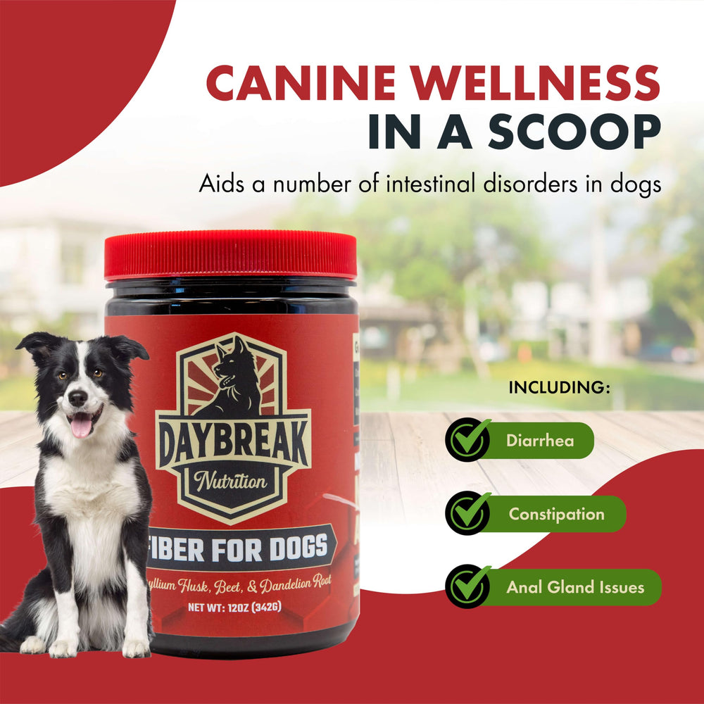 Daybreak Nutrition Fibra para Perros, sin aditivos, fórmula limpia