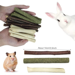 Dbeans Flourithing palitos de bambú dulce para roedores, sabor agradable