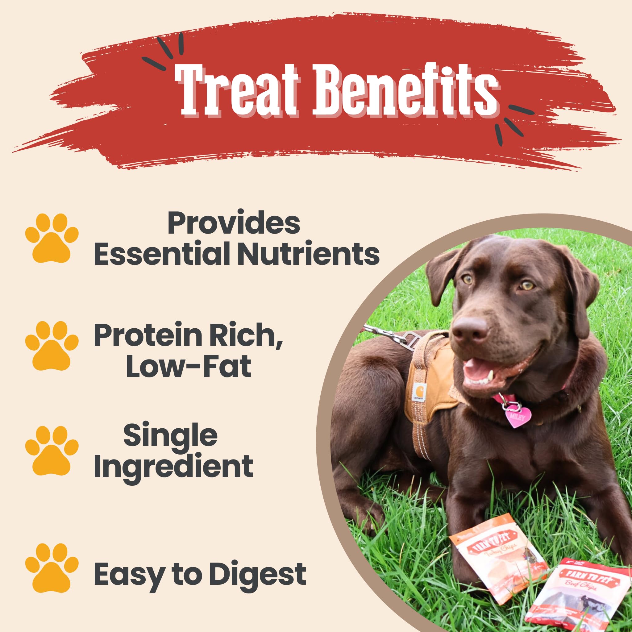 Farm To Pet entrenamiento-perro-pescado: snack sin granos para estómagos sensibles.