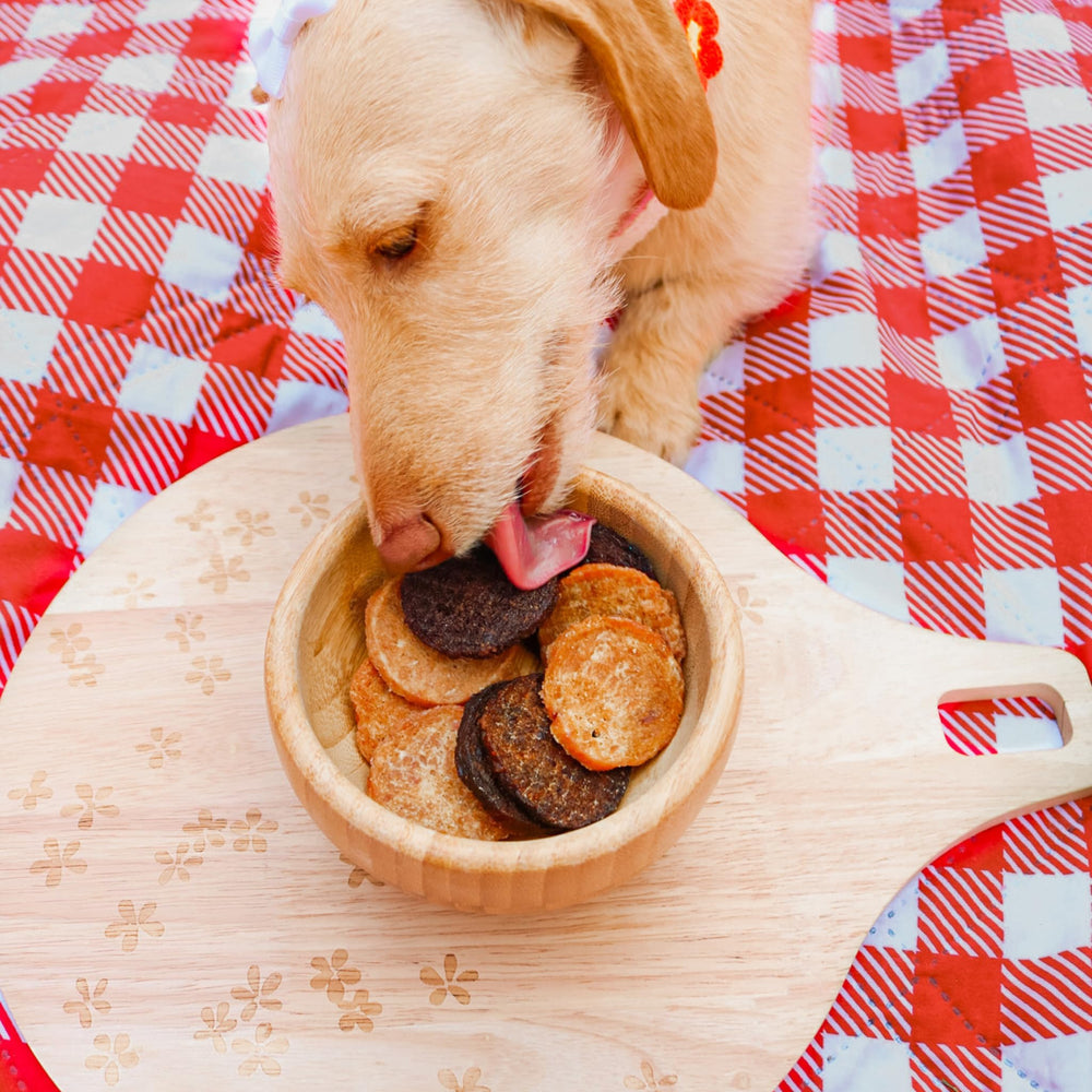 Farm To Pet variedad-sabores-24: paquete para descubrir proteínas favoritas.