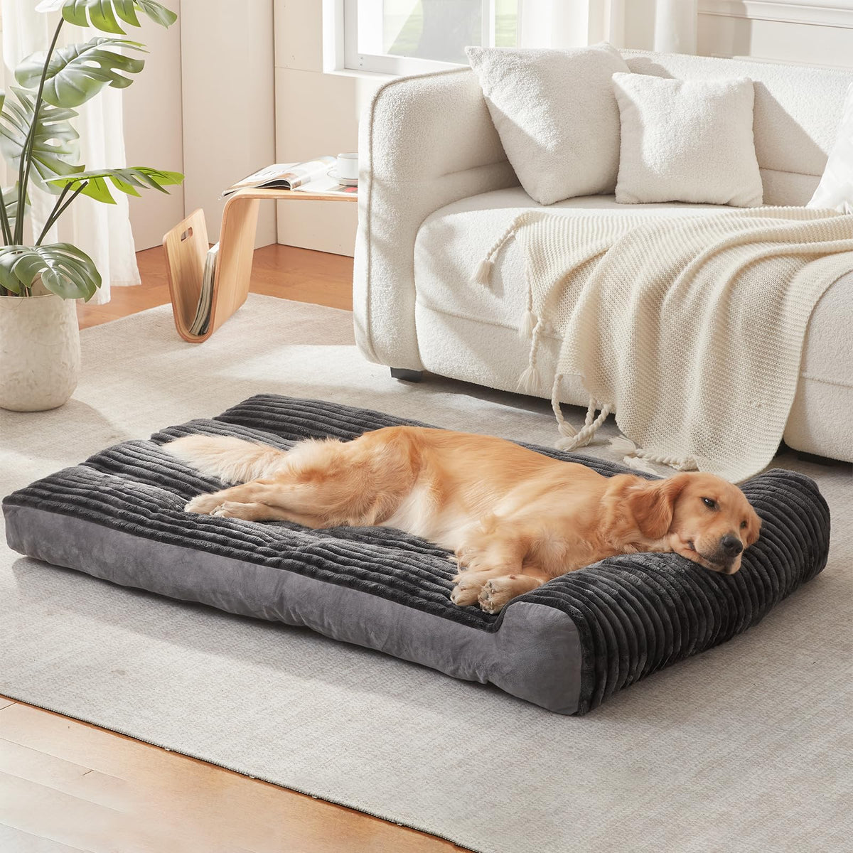 DEBANG HOME cama para perro mediano con cojín para apoyar el cuello