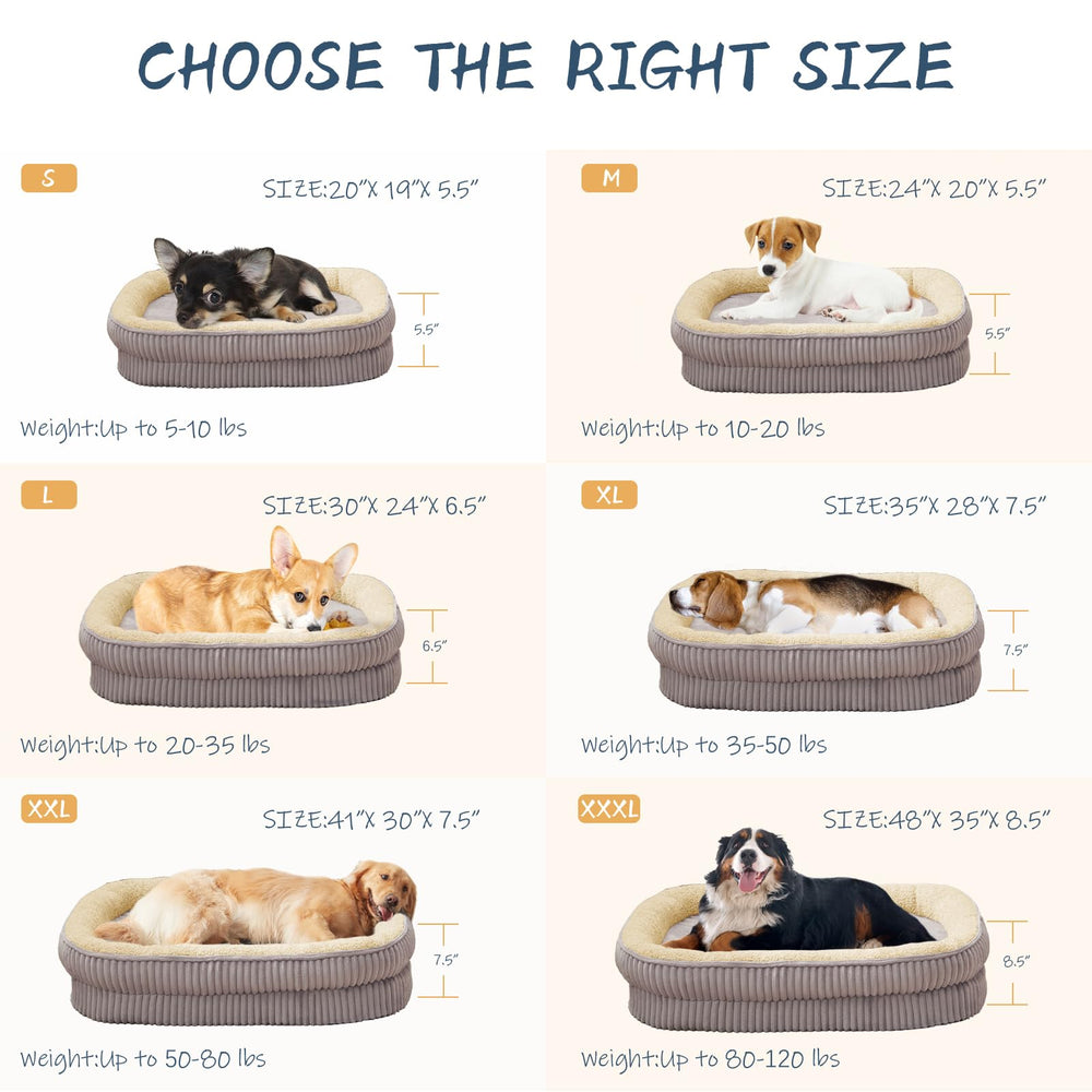 DEBANG HOME opciones de talla variadas para perros medianos.