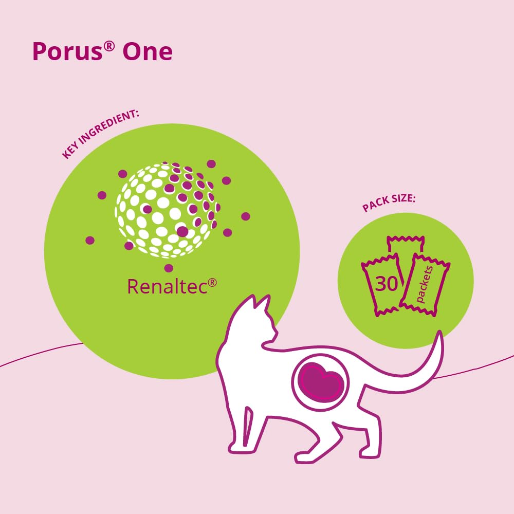 Cápsula de 500 mg Porus One, complemento para la salud renal felina.