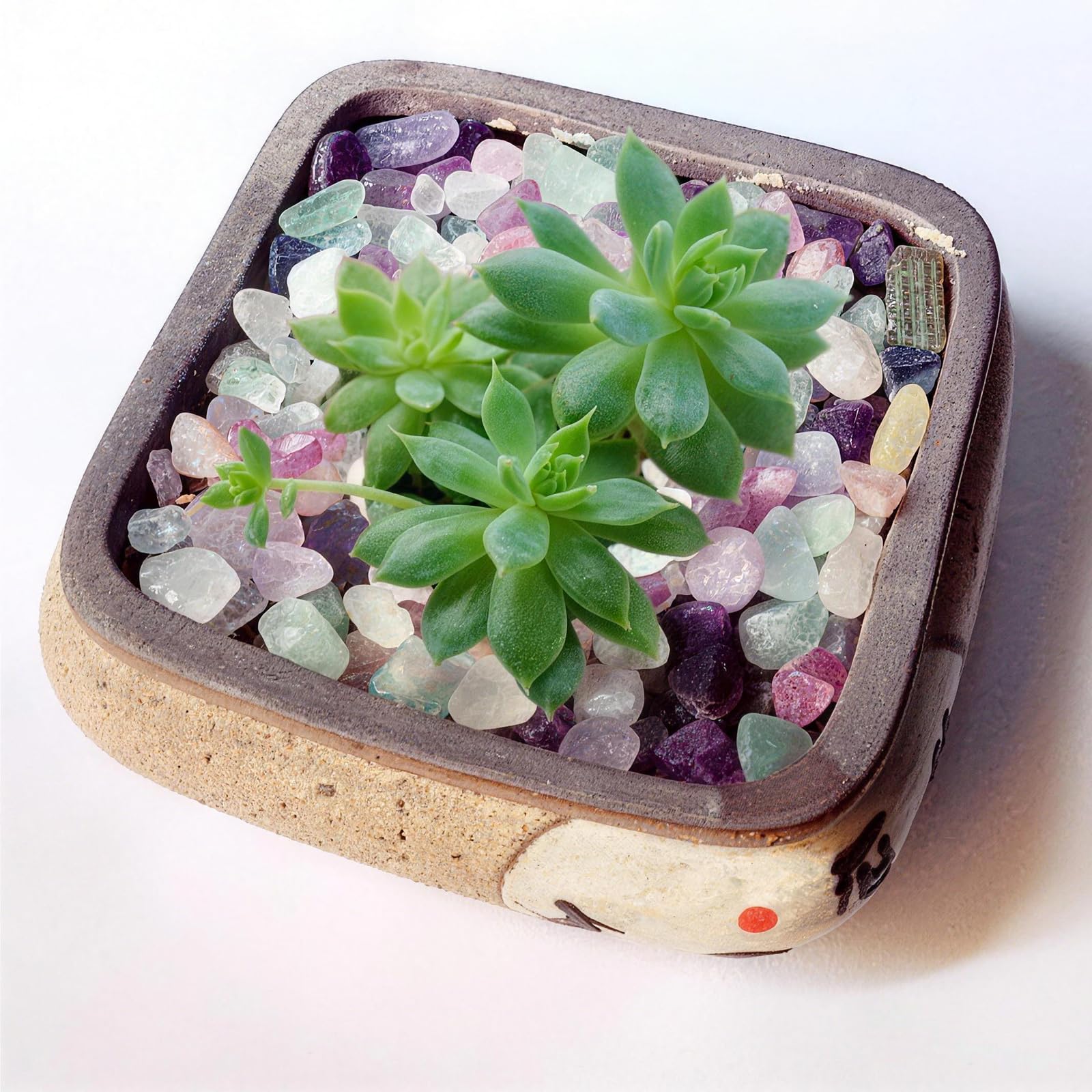 DEEDOCHY piedras para plantas suculentas aportan color y drenaje visual.