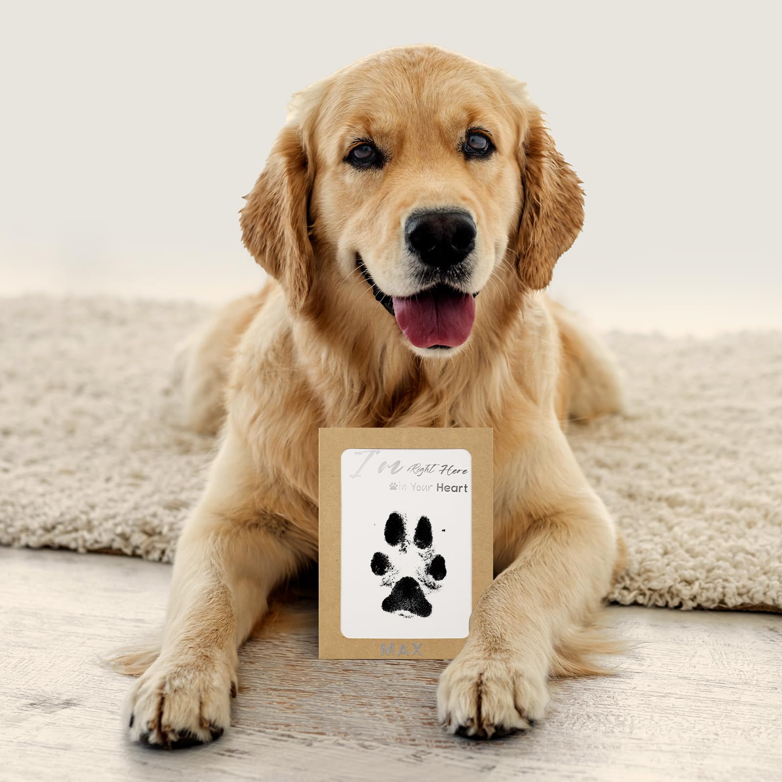 DeerZone Empaque regalo, regalo ideal para amantes de mascotas