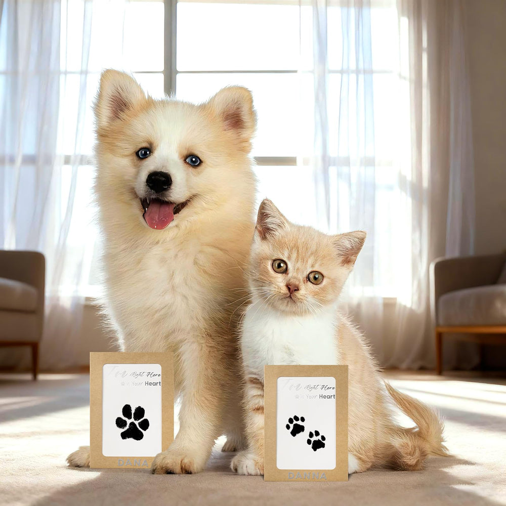 DeerZone kit de huellas para perros y gatos, memoria duradera.