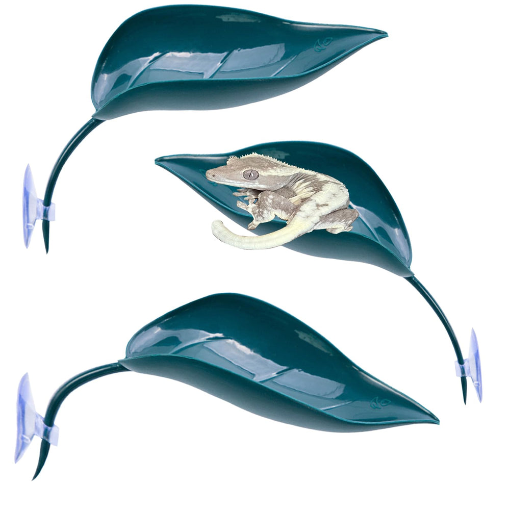 Delllala set de 3 plataformas con ventosas para trepar y descansar