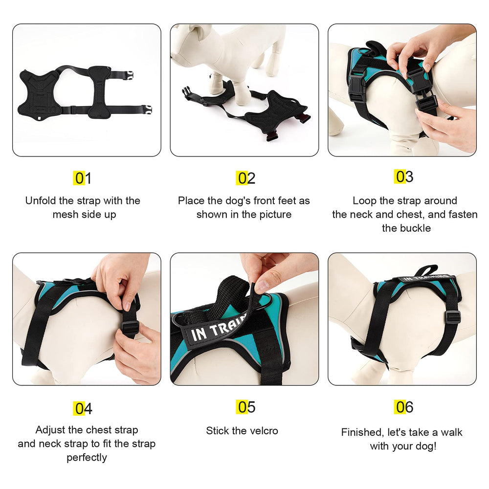 Utilisation extérieure facile du harnais Demigreat pour promenades et entraînement.