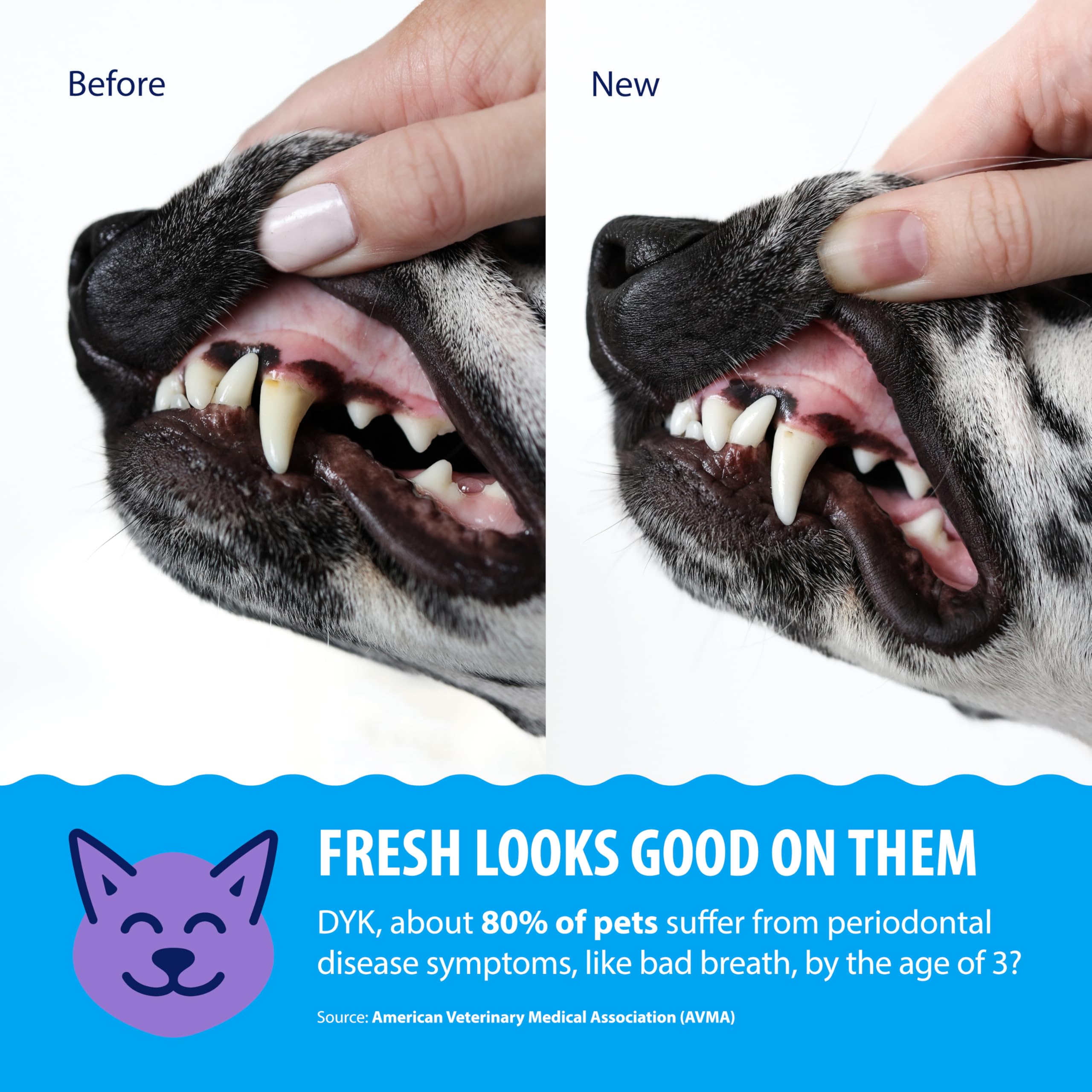 Dental Fresh-sabor-neutro mantiene hábitos normales de beber sin saborizantes artificiales.